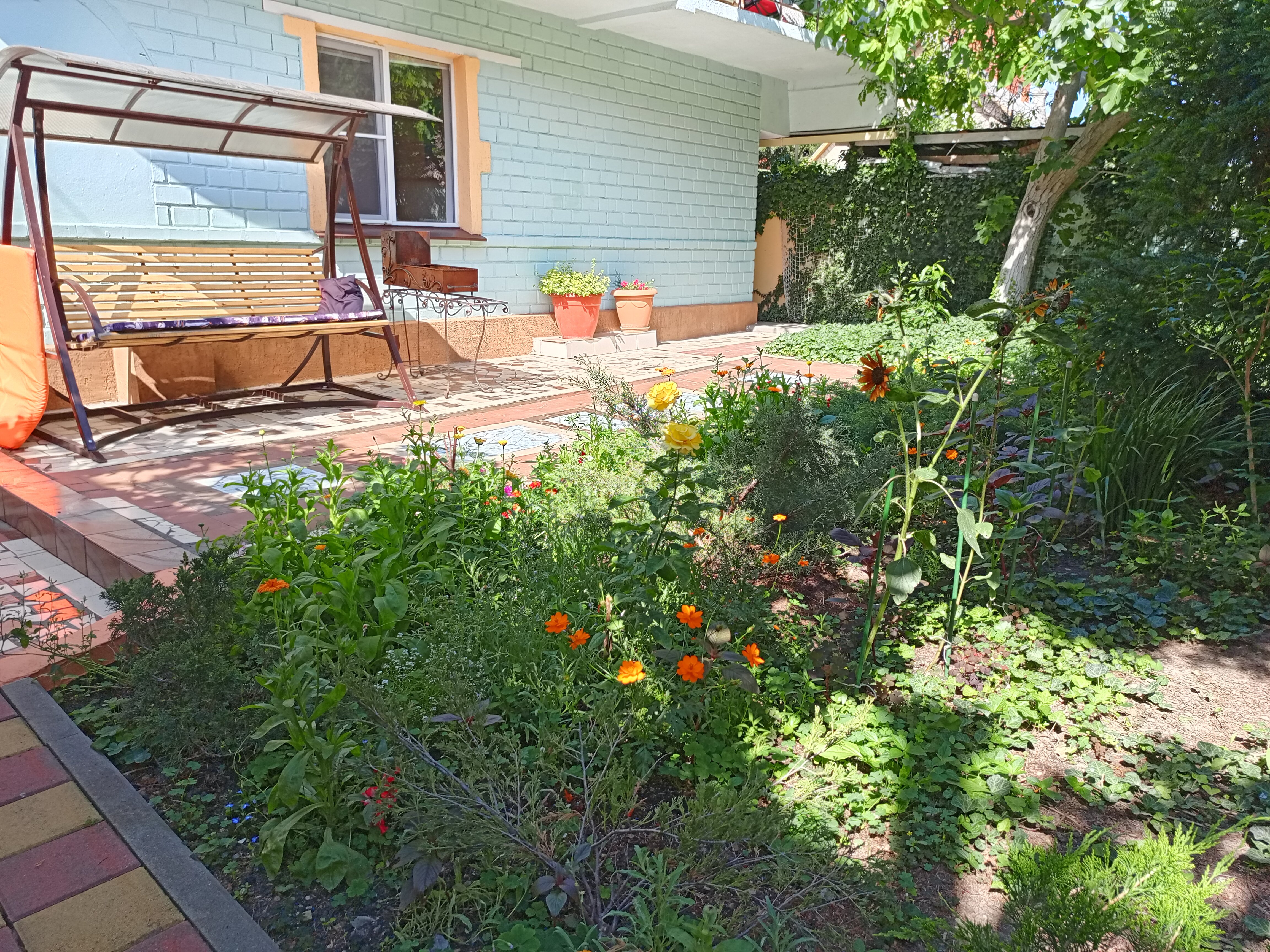 Фото Оранжевые Небеса