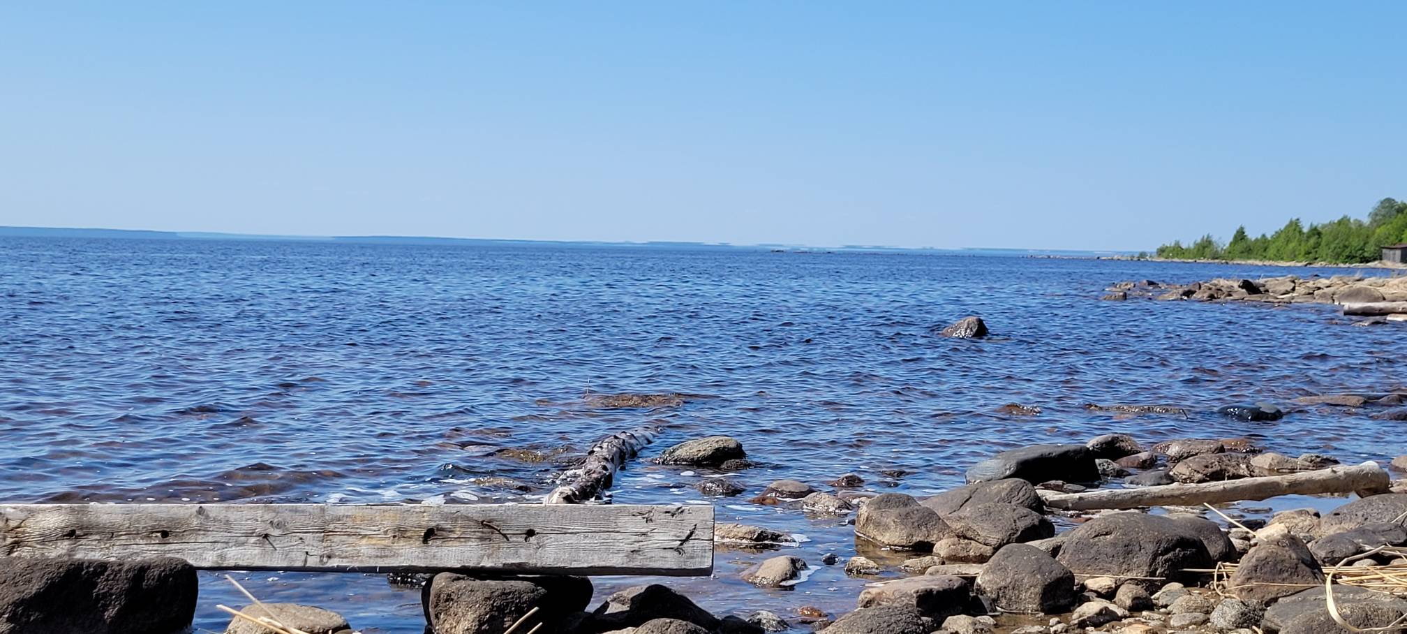 Фото Пяльма