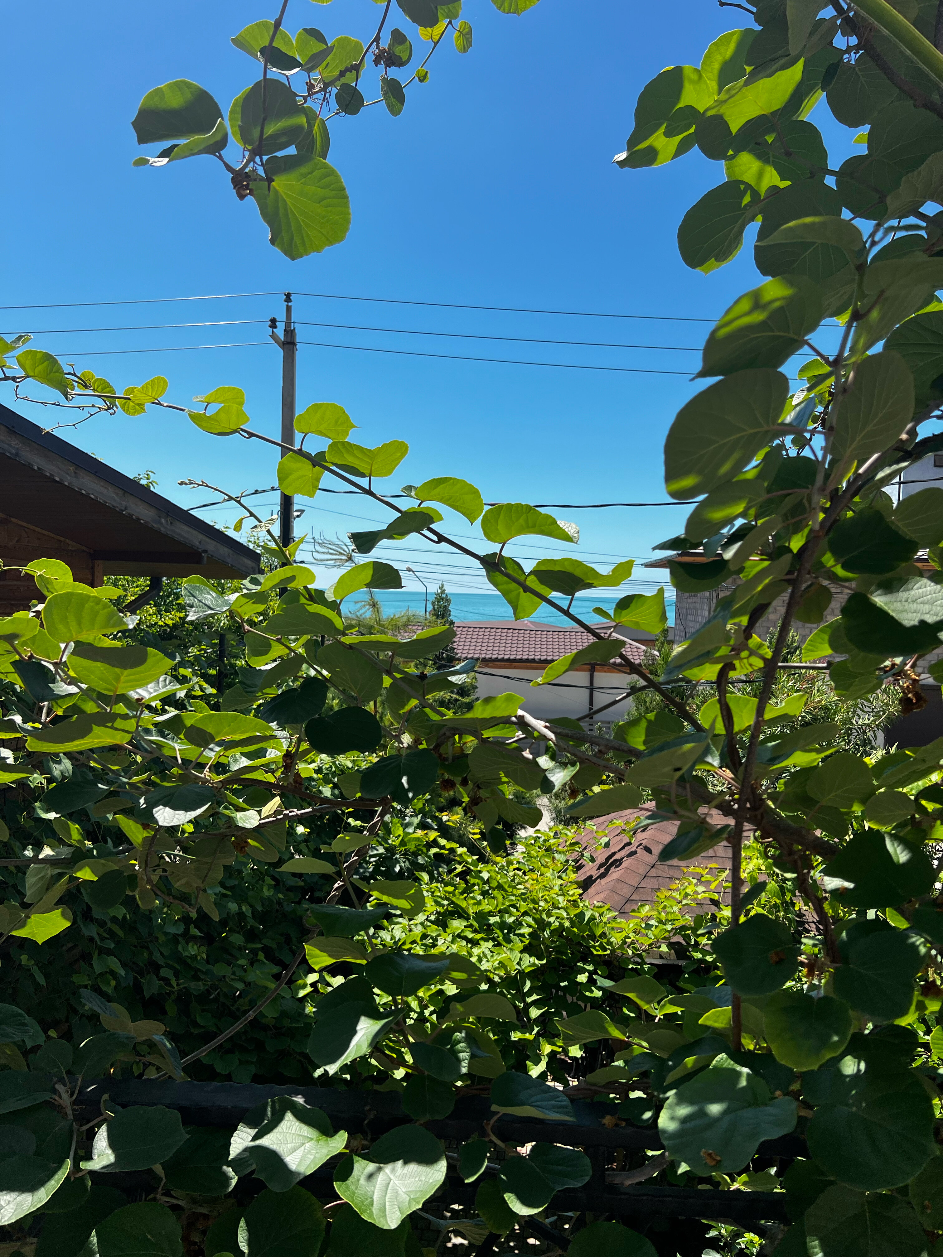 Фото Гостевой дом Гера