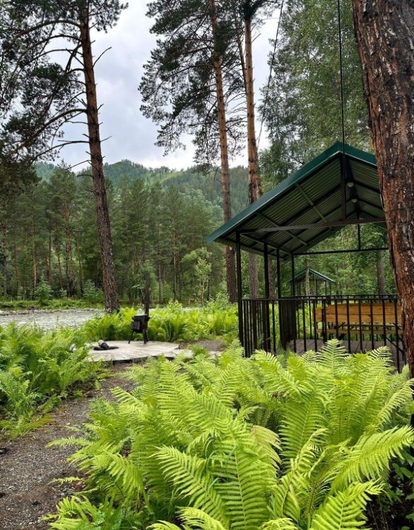 Фото Эко-парк Алтай Грин