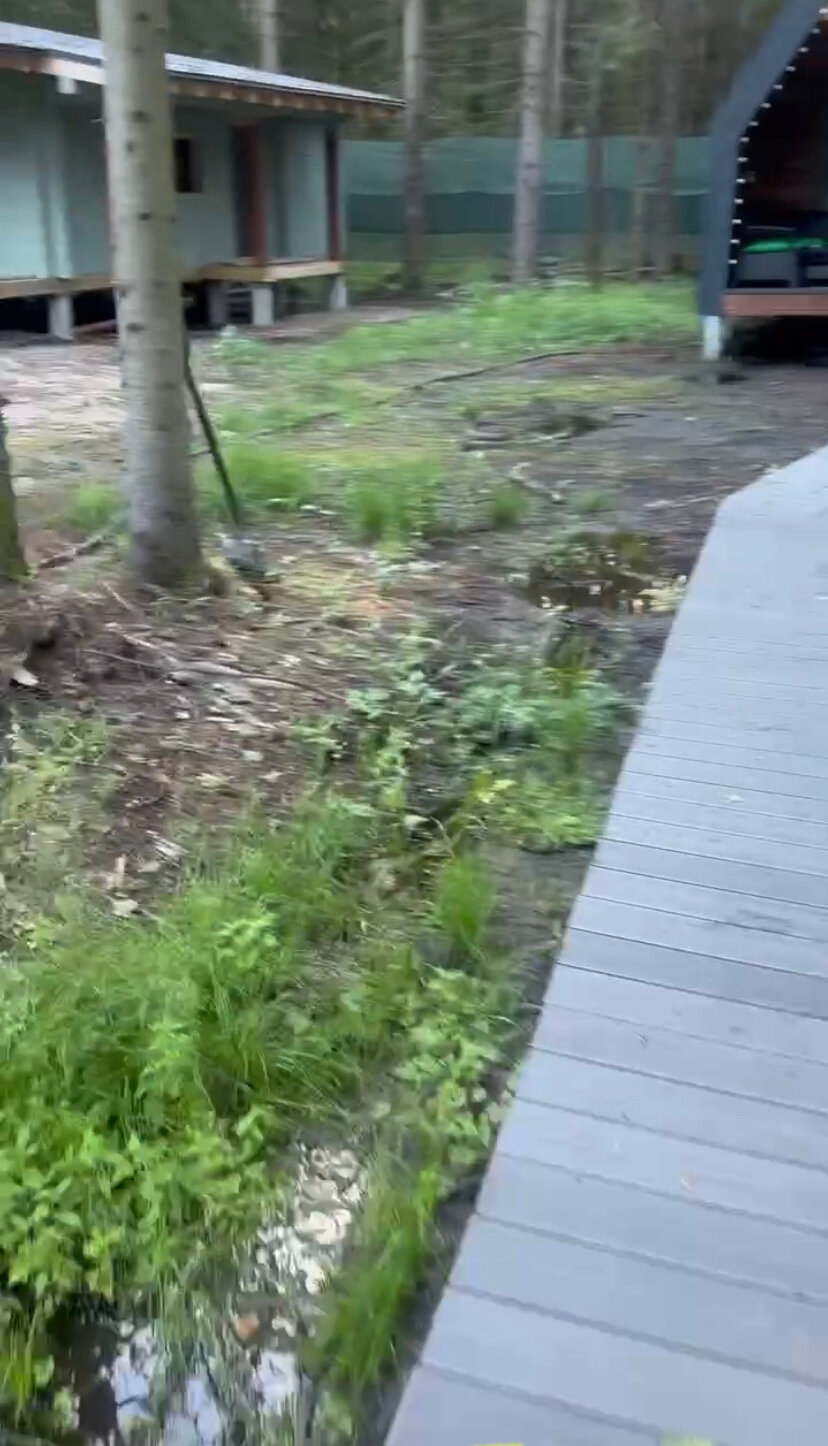 Фото Дом в Лесу