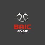 Baic Luidor (Moskovskoye Highway, 94А), car dealership