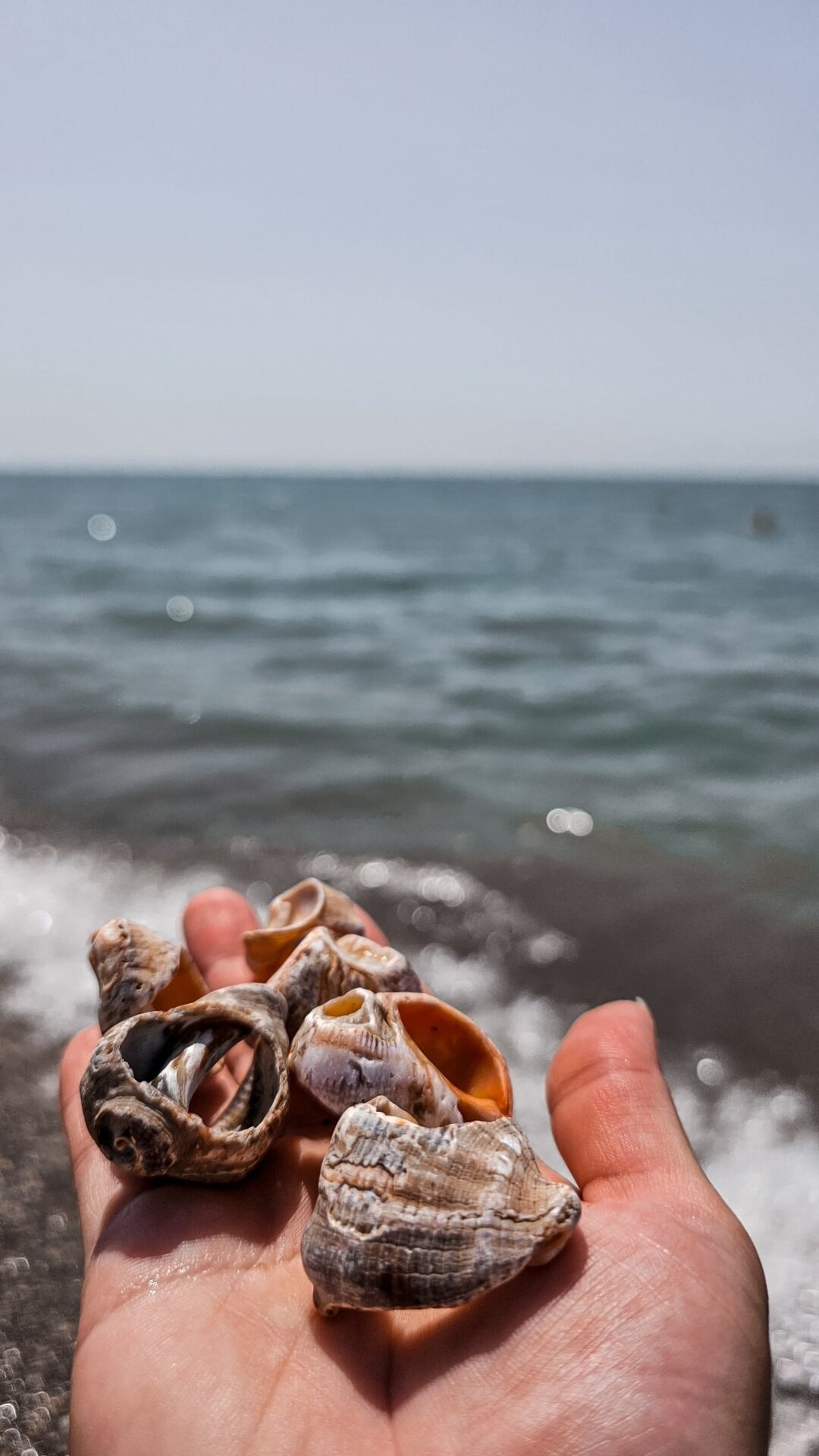 Фото Царская аллея