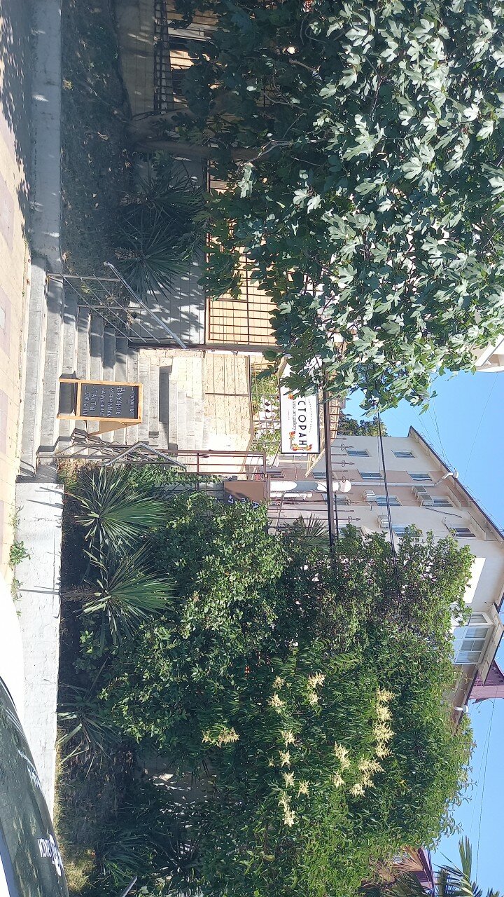 Фото АрМара