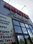 New Rascvet (rabochiy posyolok Markova, mikrorayon Beryozovy, 6А), flower shop