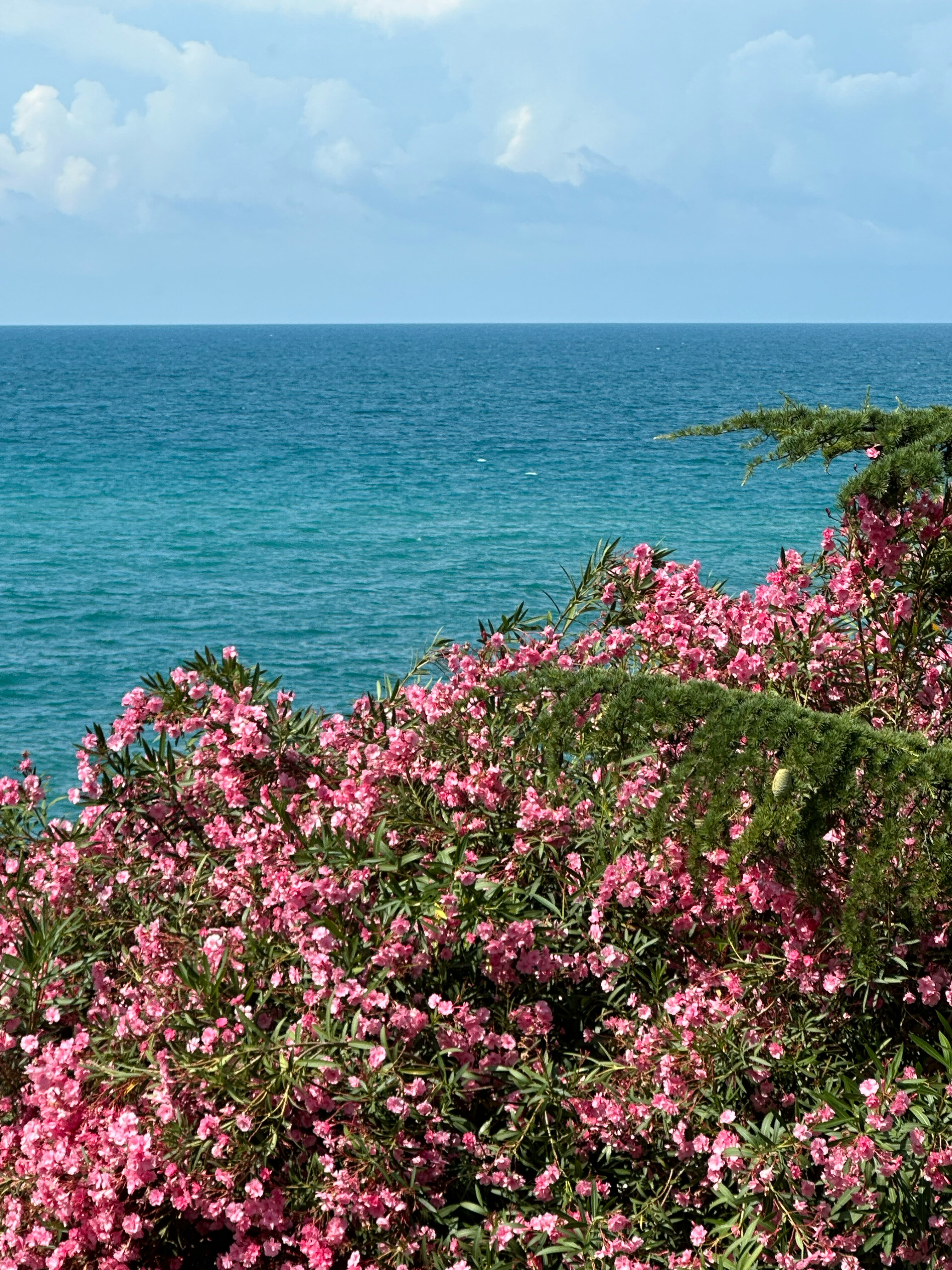 Фото Coocoorooza