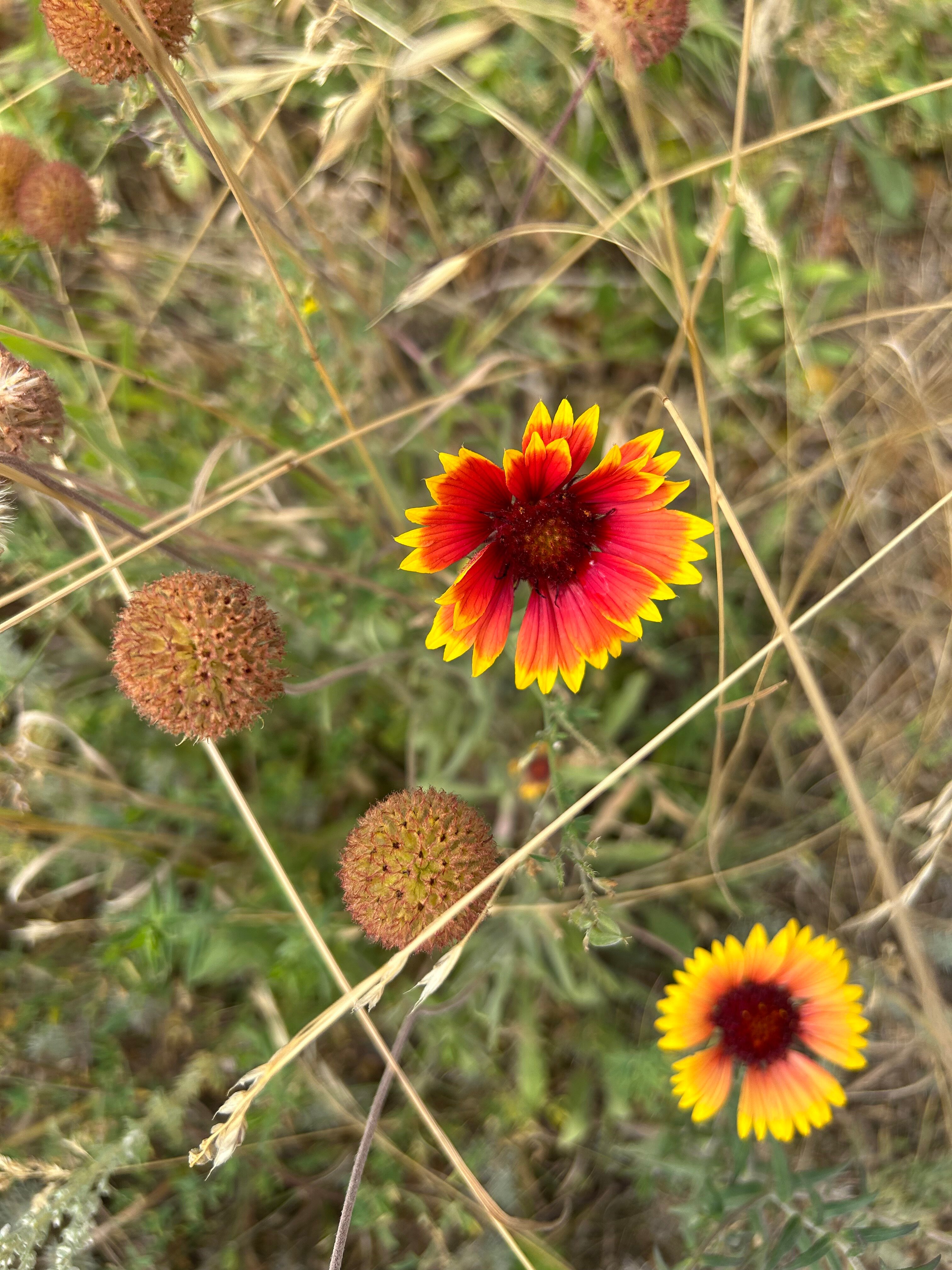 Фото Уютный домик в Ширяево