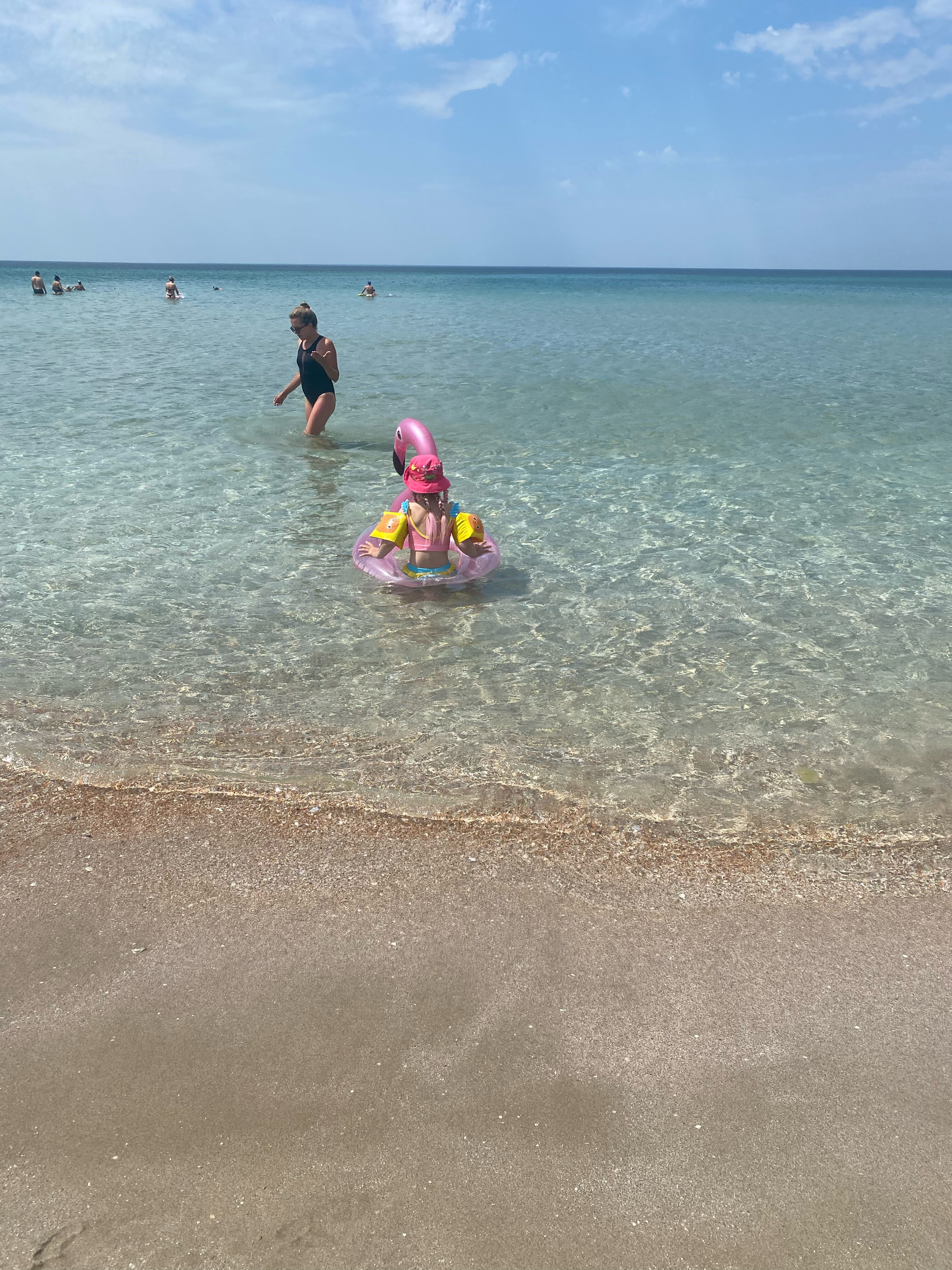 Фото Альянс