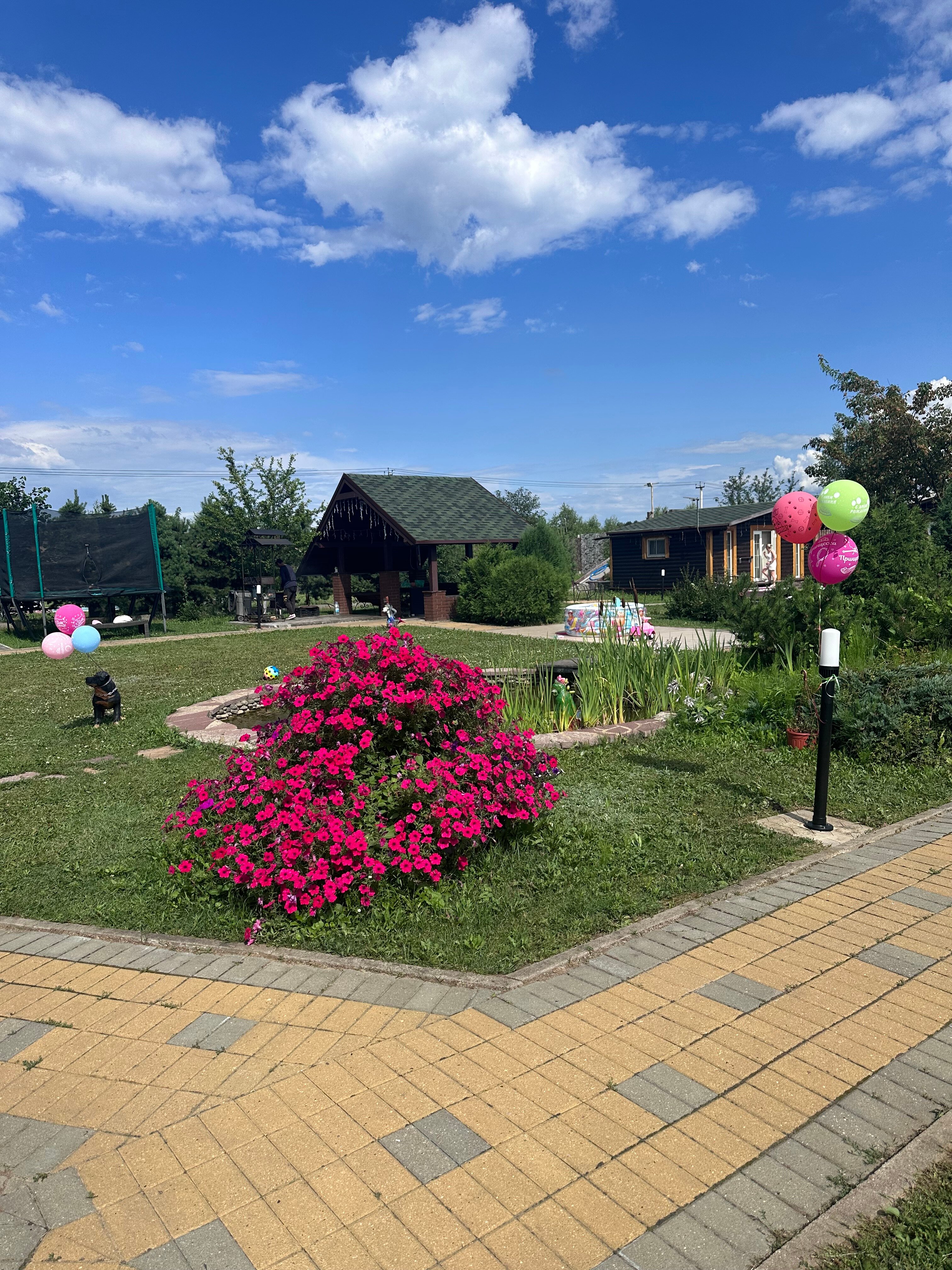 Фото Акварель