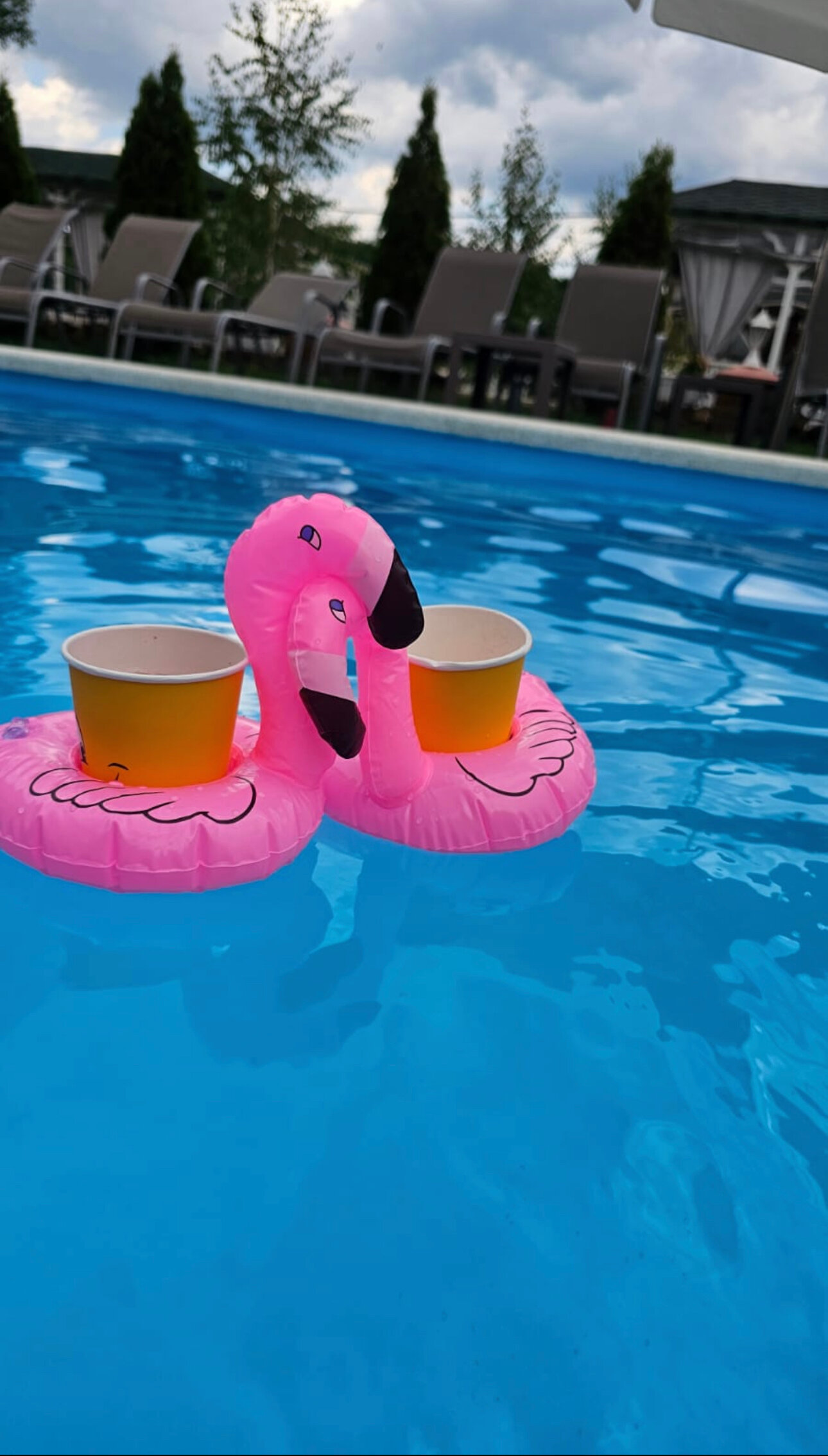 Фото ДанДача