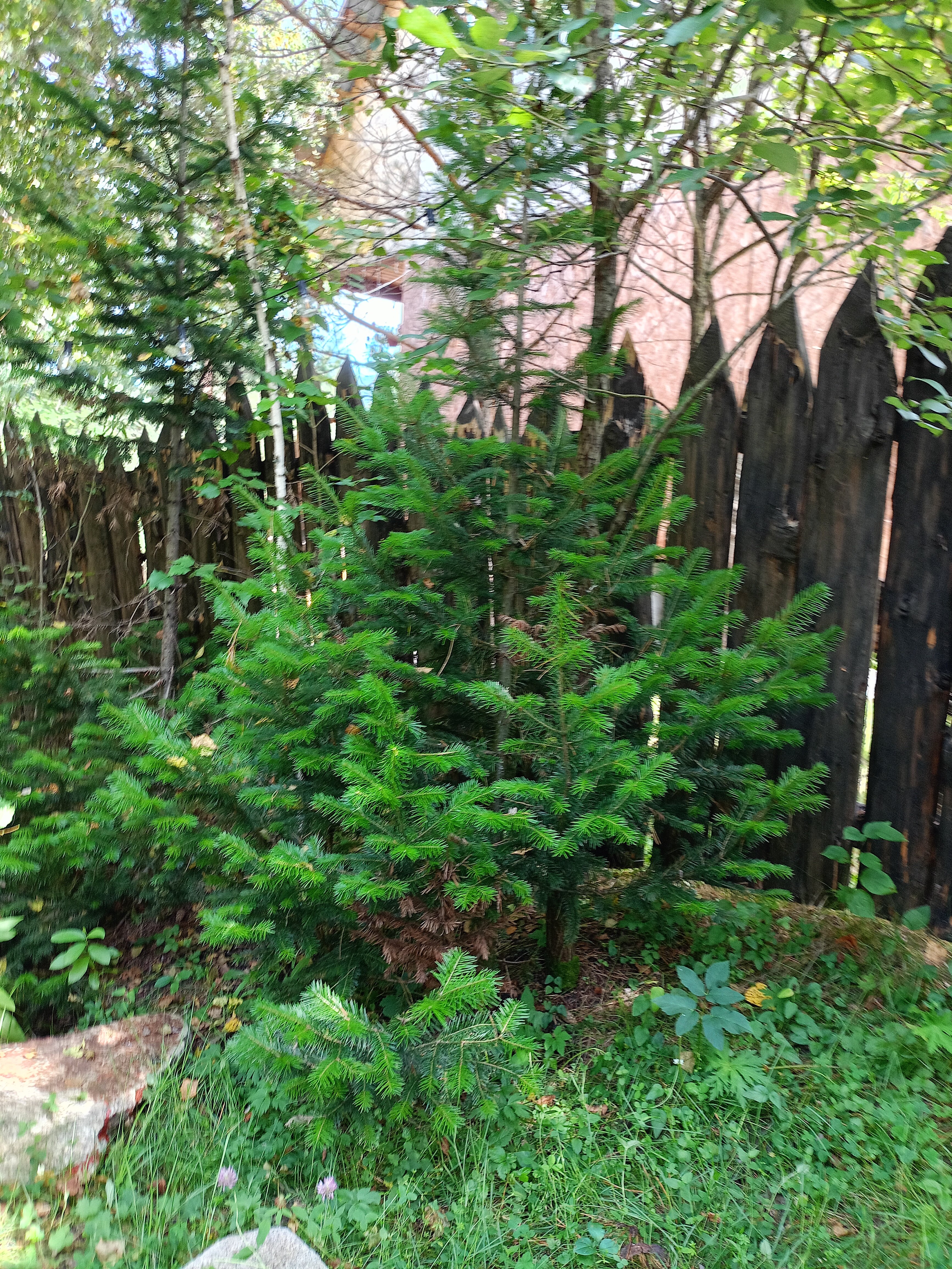 Фото Дыхание Природы