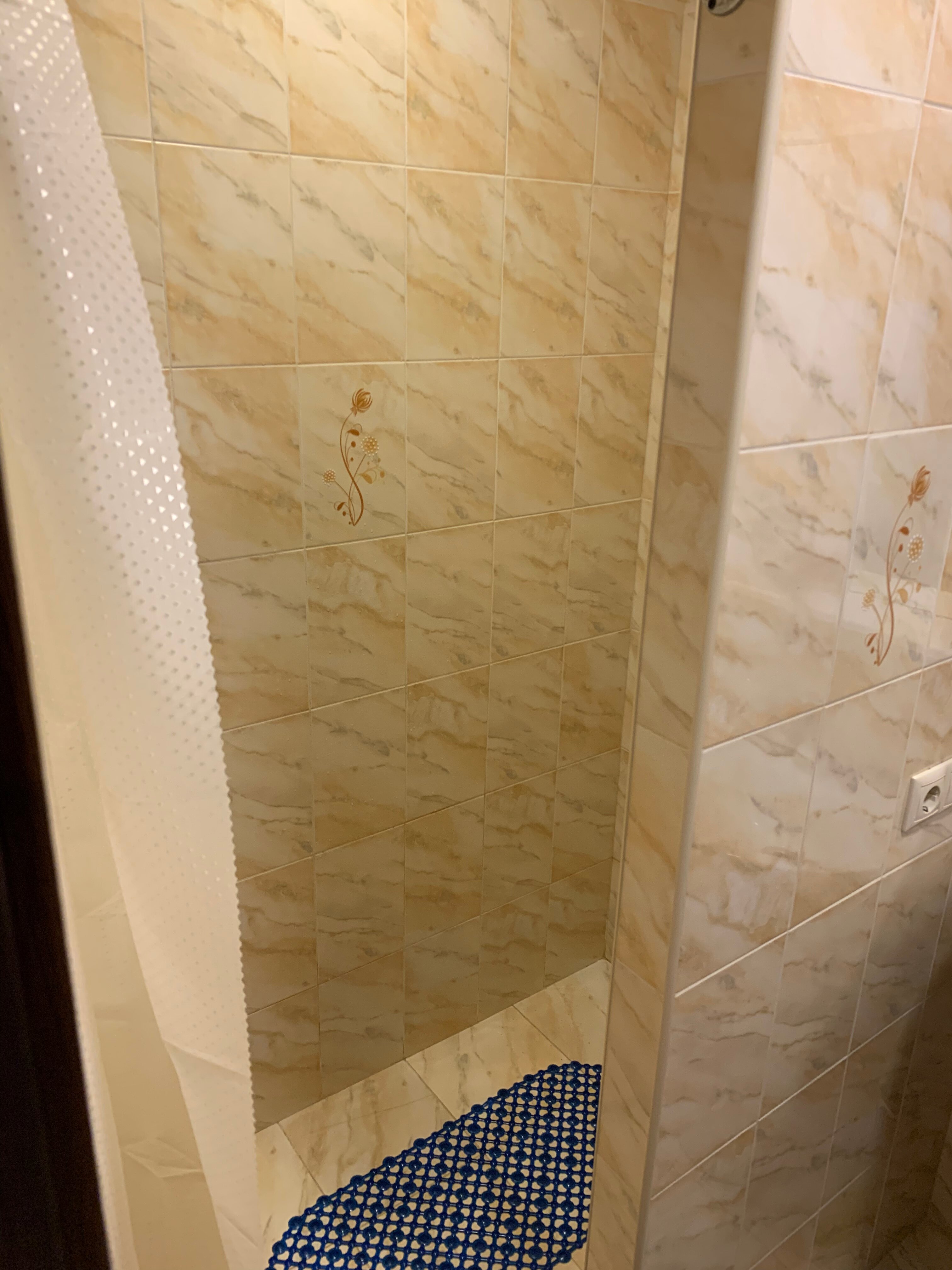 Фото Дельфиния