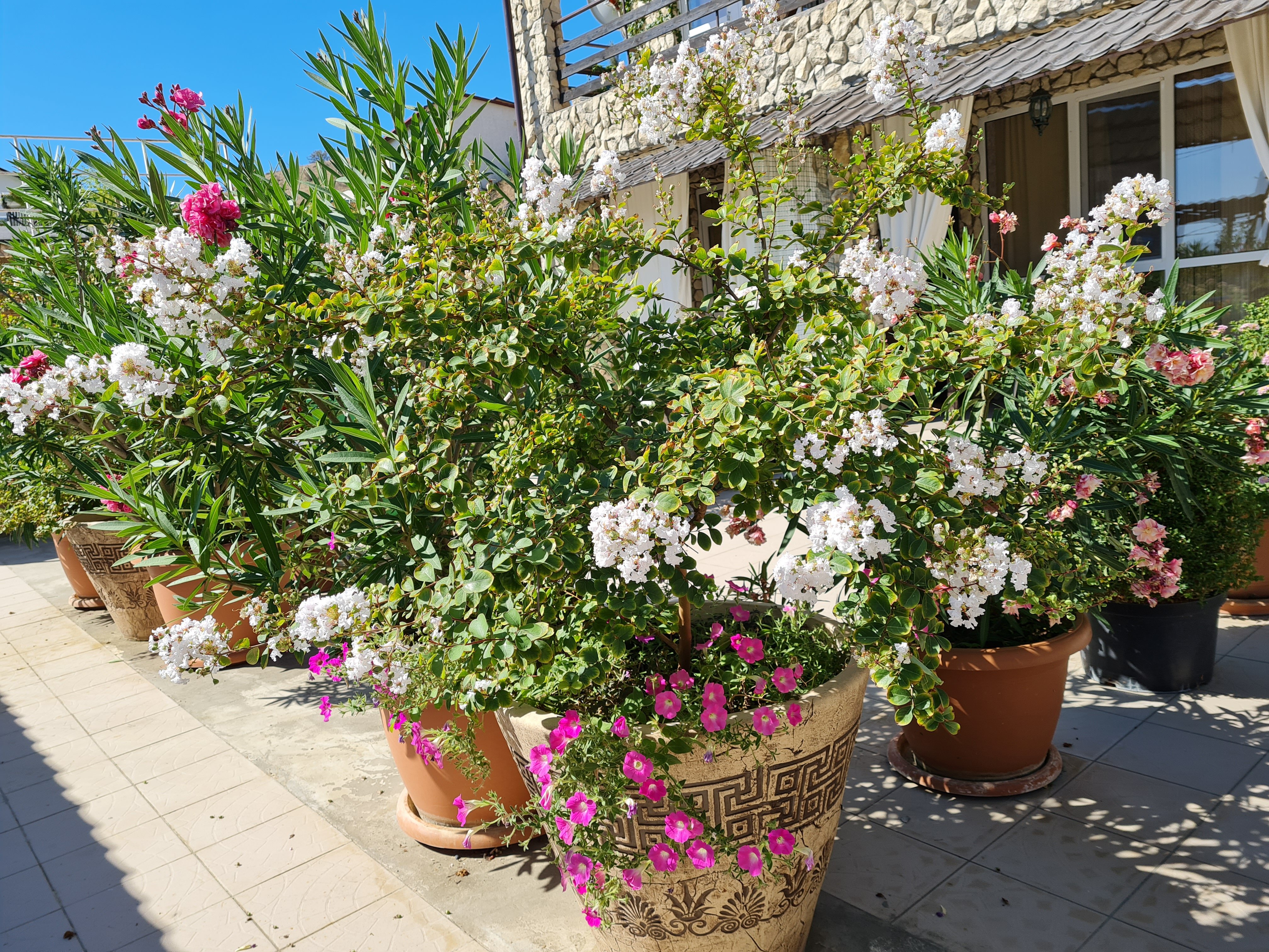 Фото Олимпия