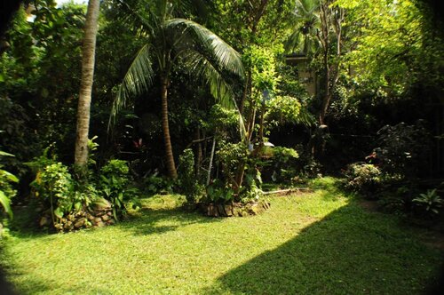 Гостиница Kandy Shady Trees Villa в Канди