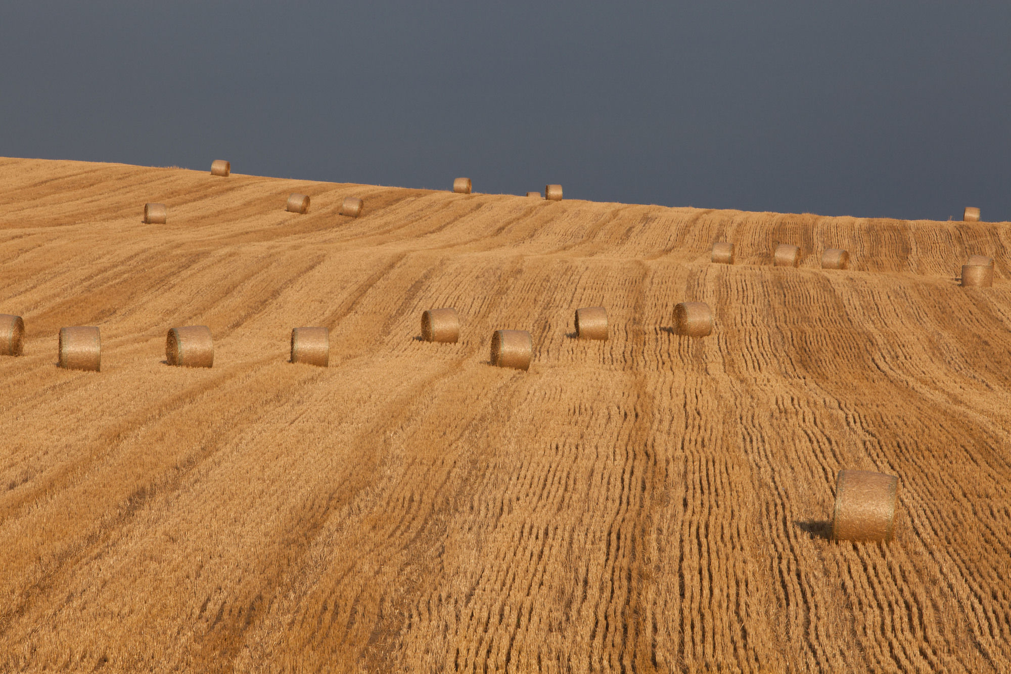 Фото Tenuta Danesi