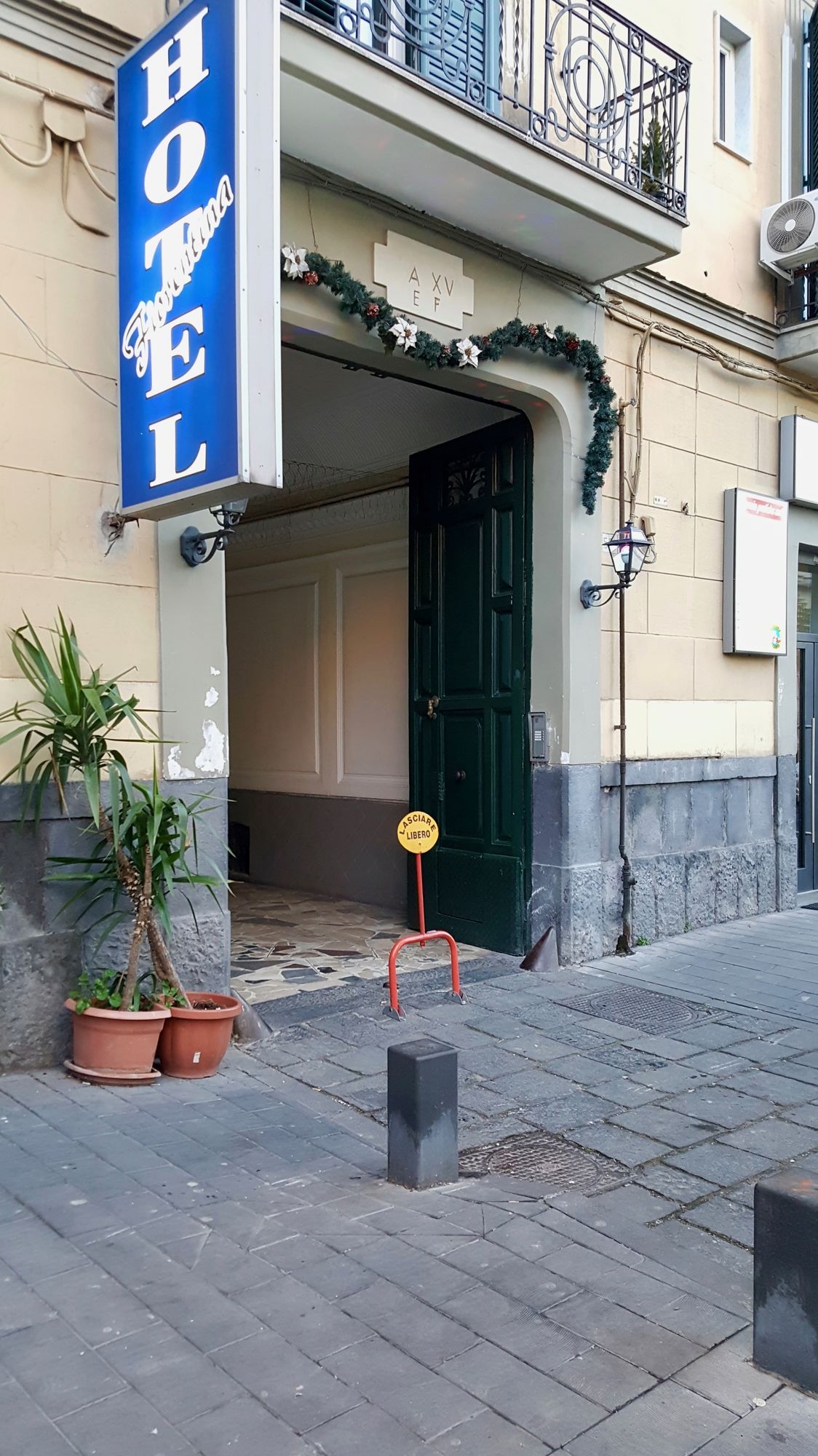 Фото Hotel Fiorentina