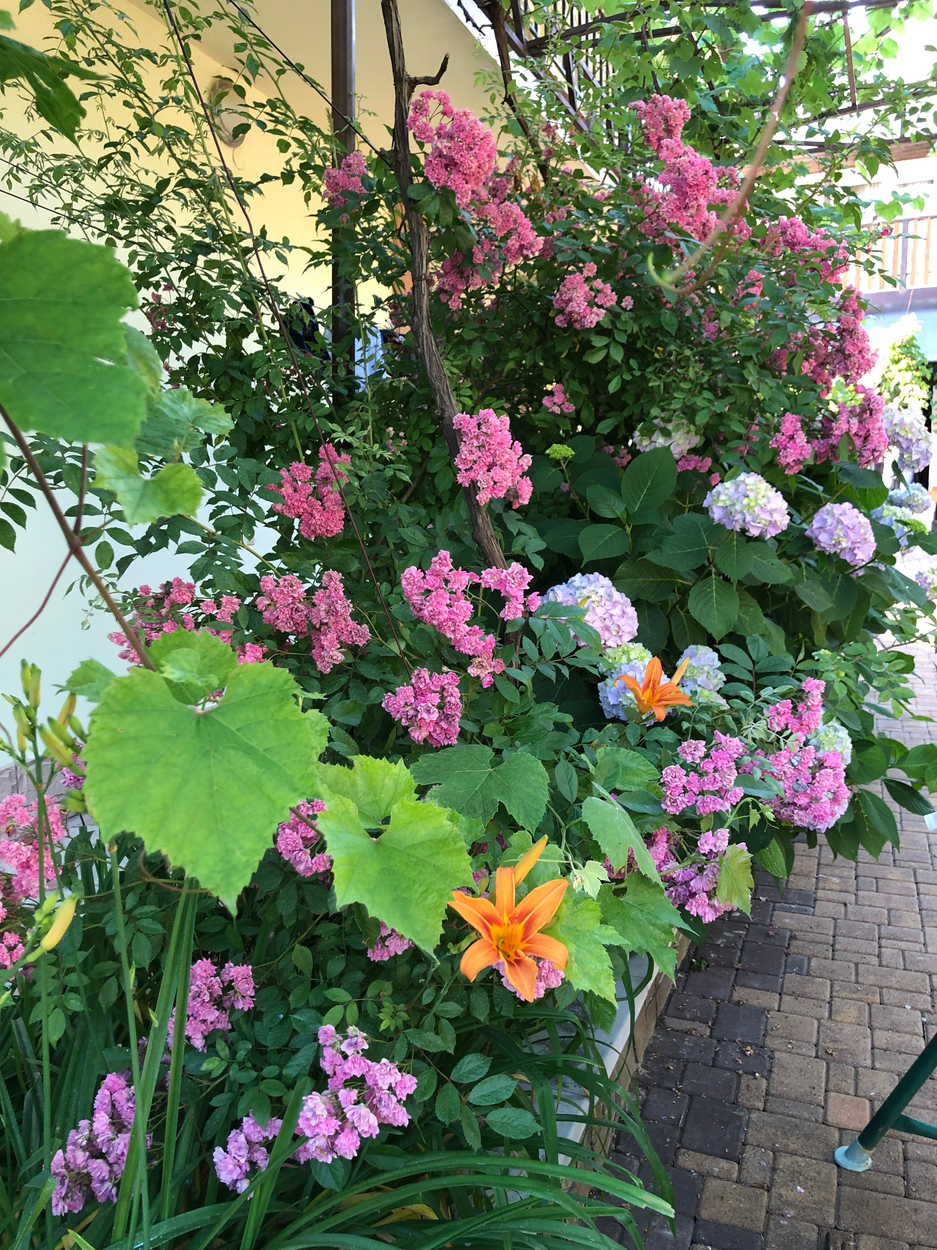 Фото Приморский