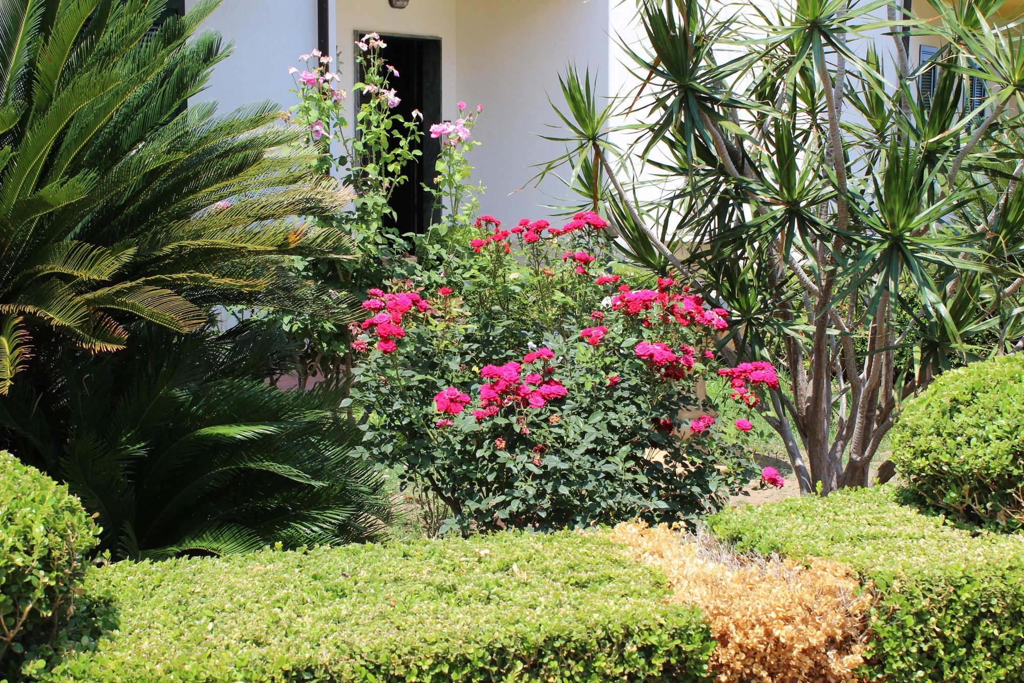 Фото B&b Il Cavaliere