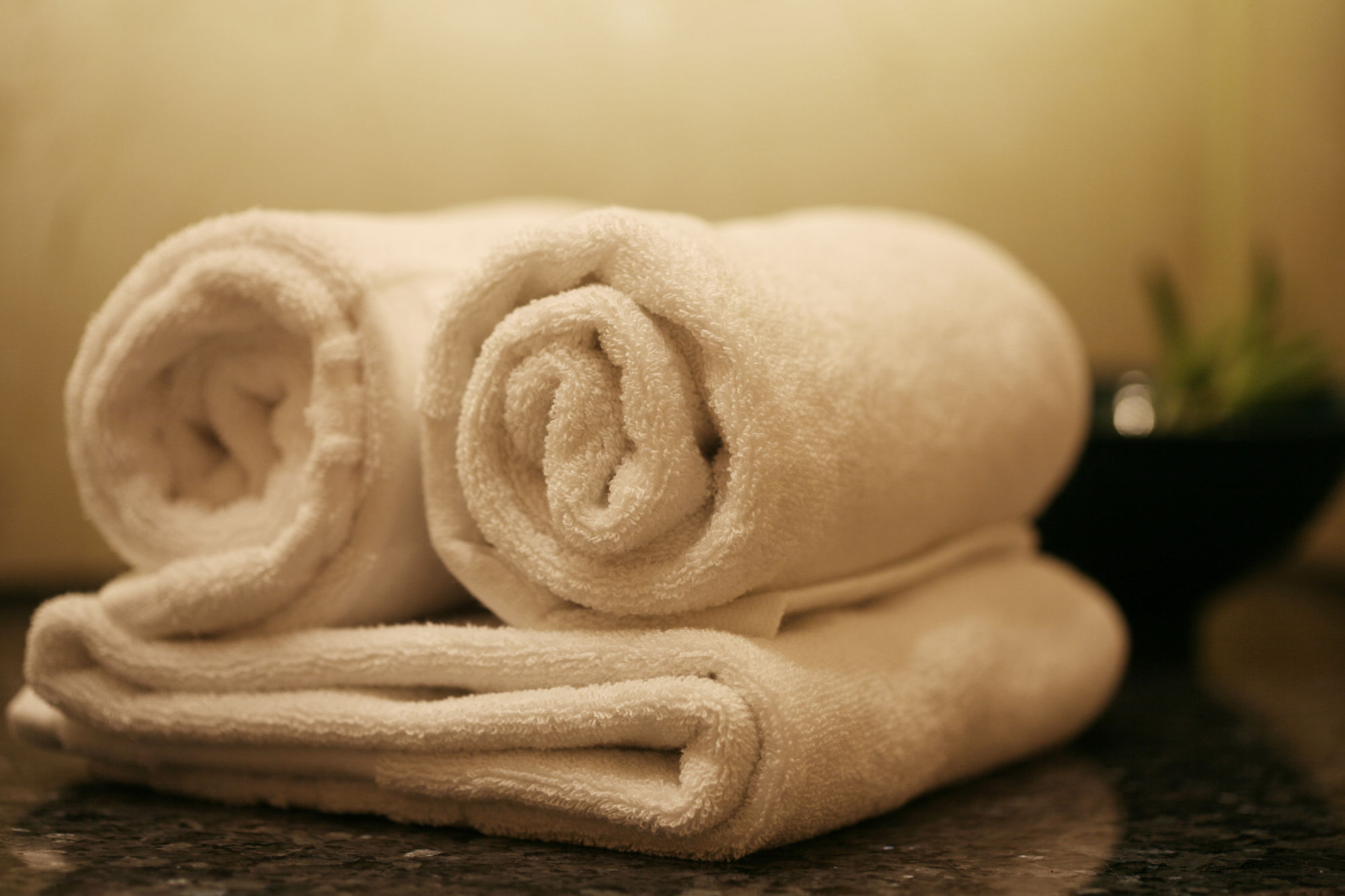 Фото Matthieu Yeosu