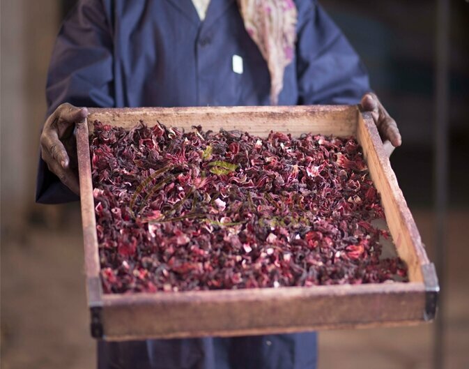 Agricultural goods Organic Crops, Dubai, photo