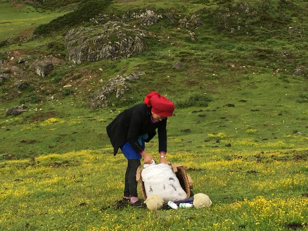 Фото Arrokhampa by Zinc Journey Shangrila