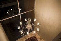 Фото Orangerie Guesthouse