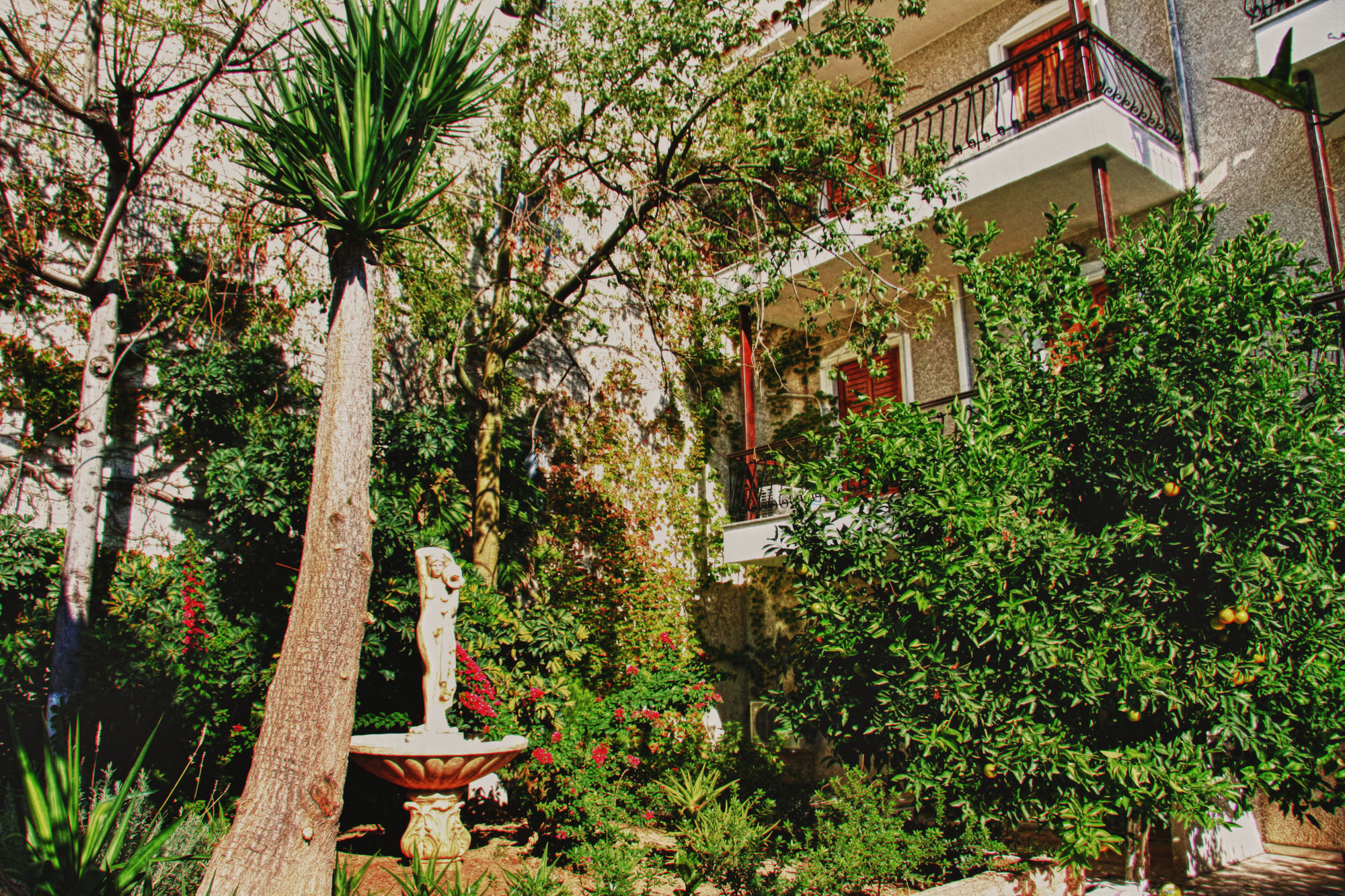 Фото Oasis Apartments