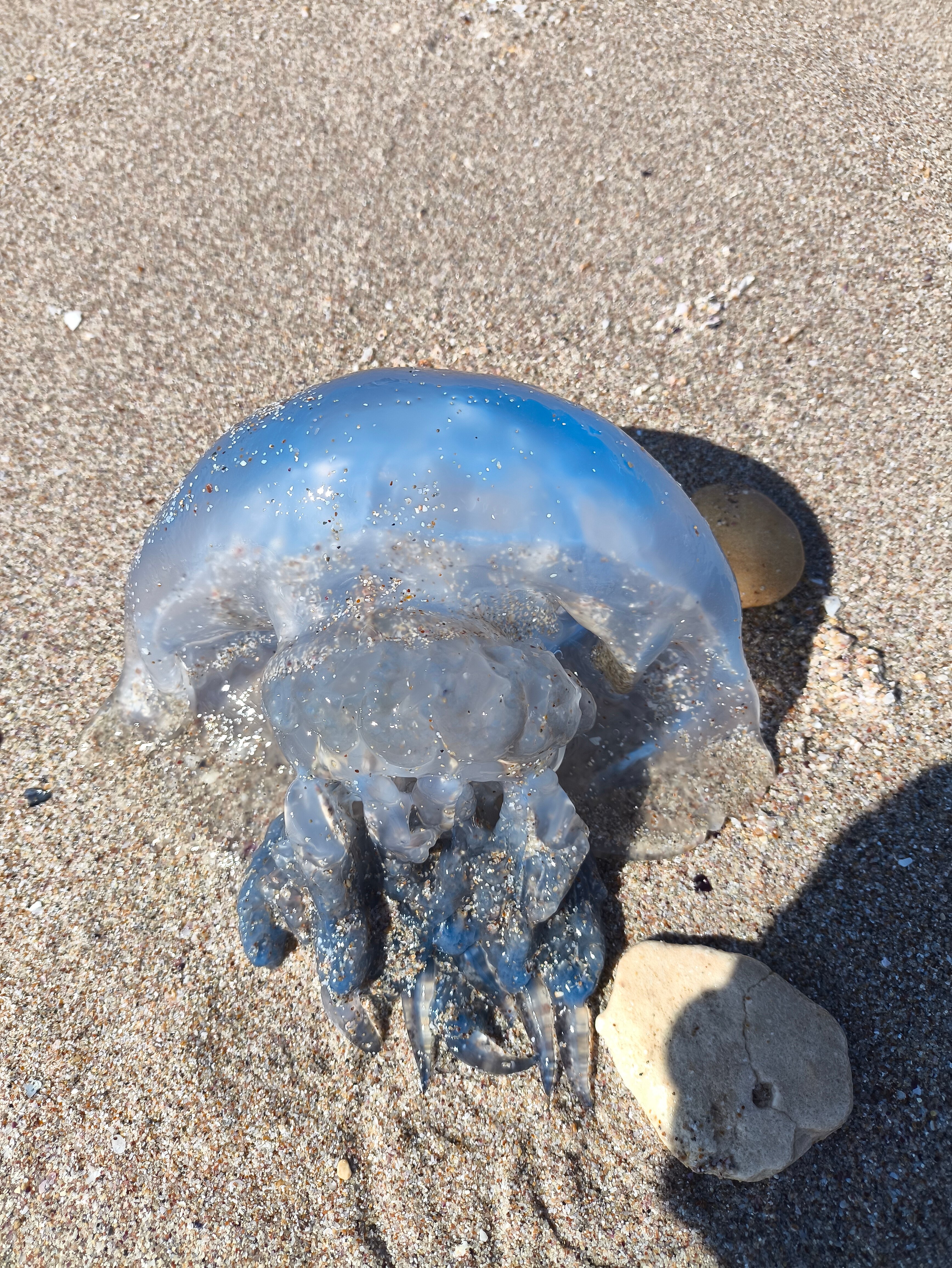 Фото Сахалин