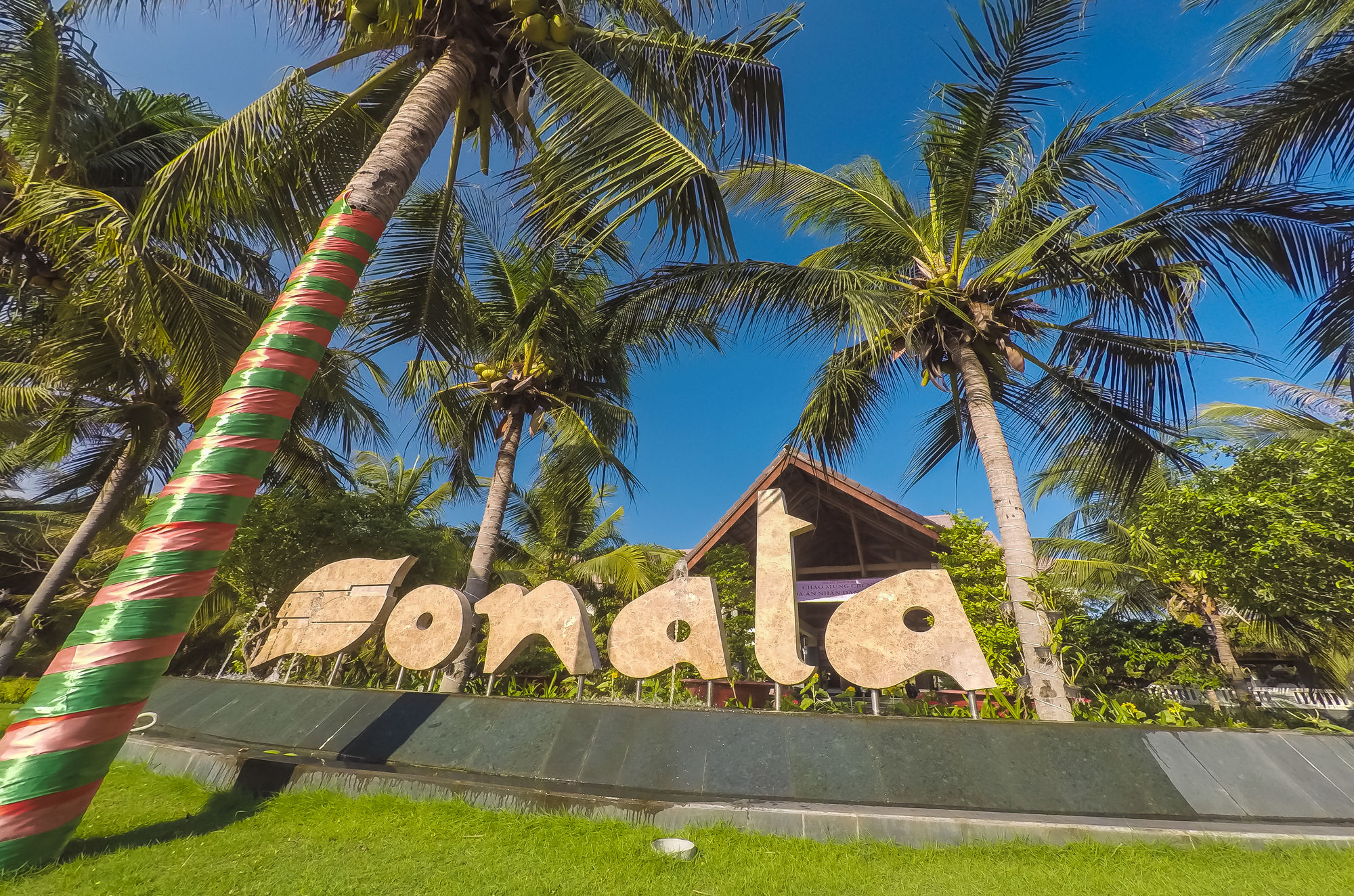 Фото Sonata Resort & SPA