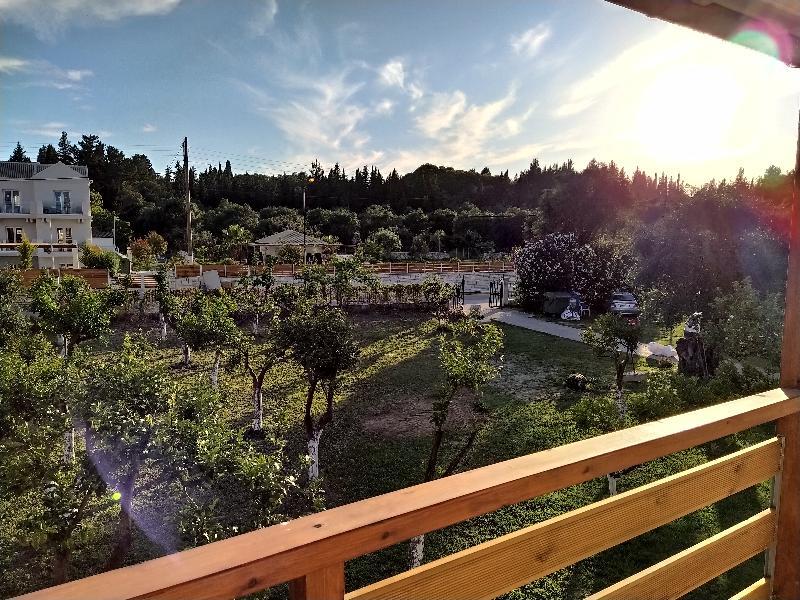 Фото Апарт-отель Ever Green