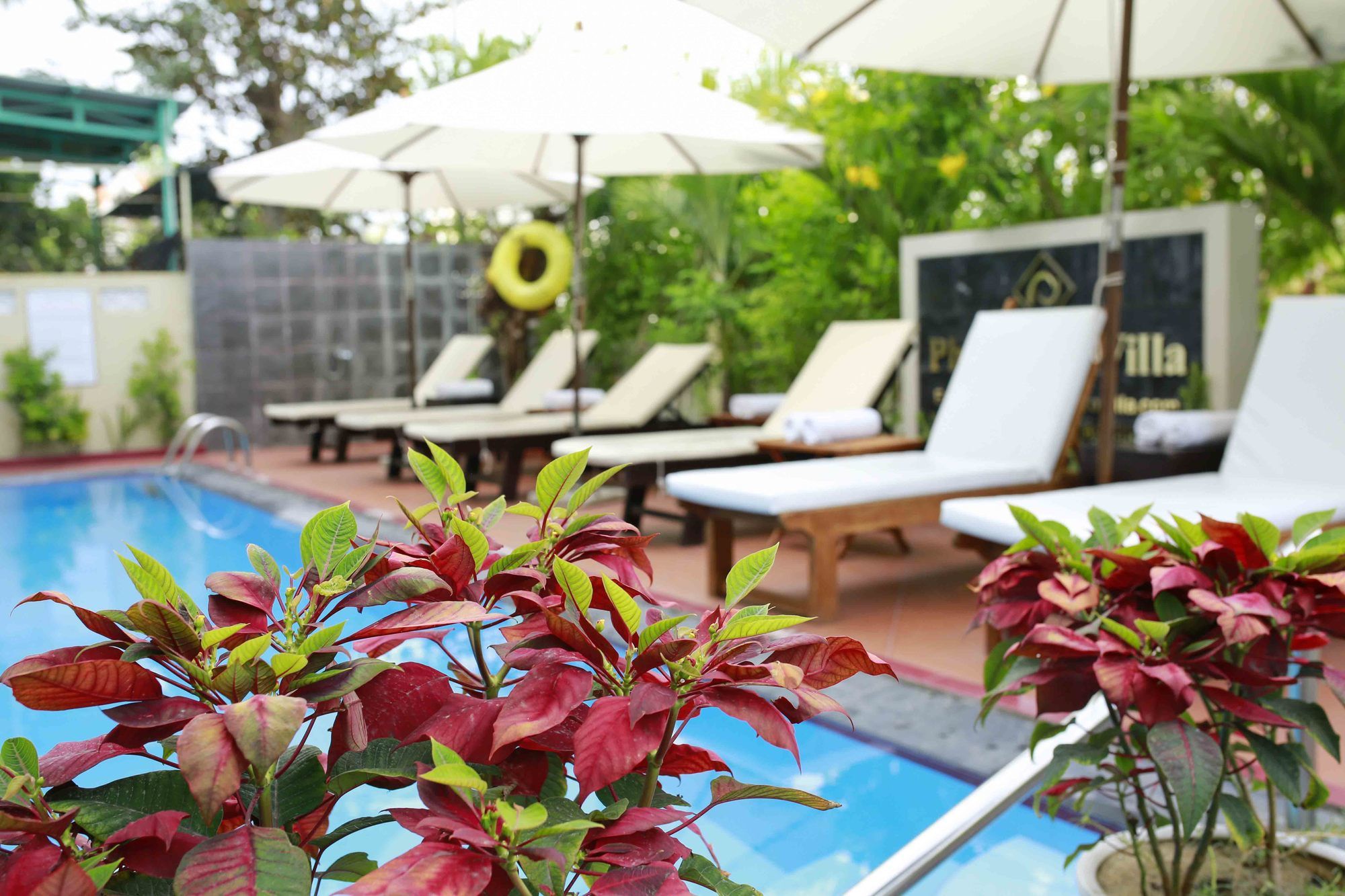 Фото Phuc Thao Villa