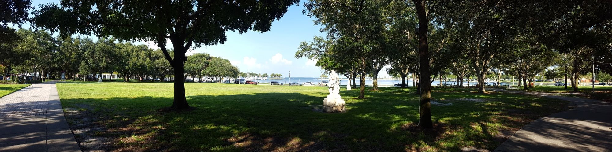 Фото The Birchwood