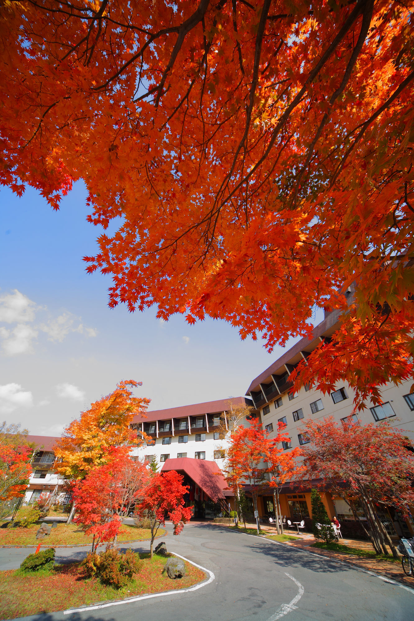 Фото 181965387168