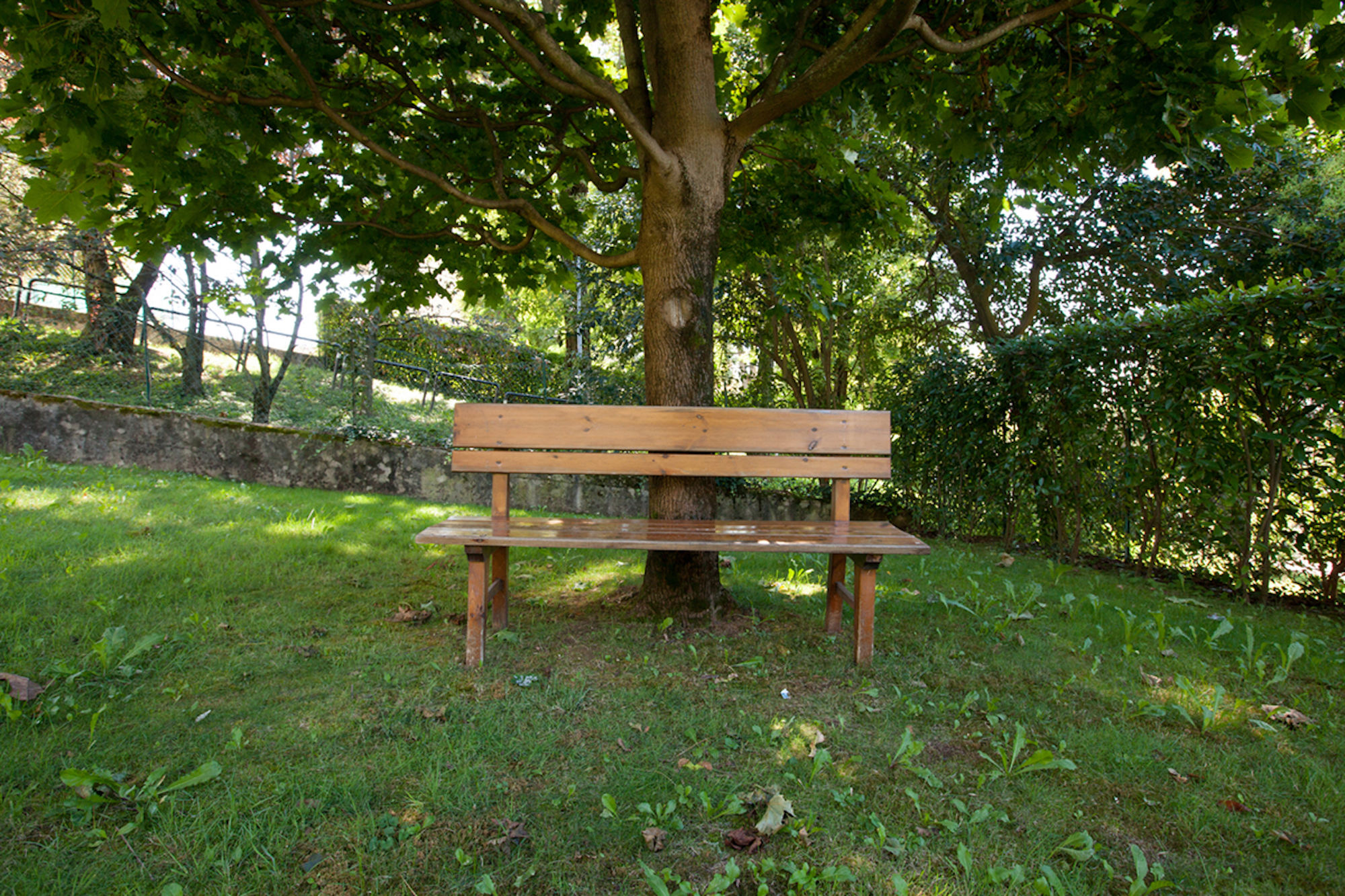 Фото Ostello AIG Bergamo - Hostel