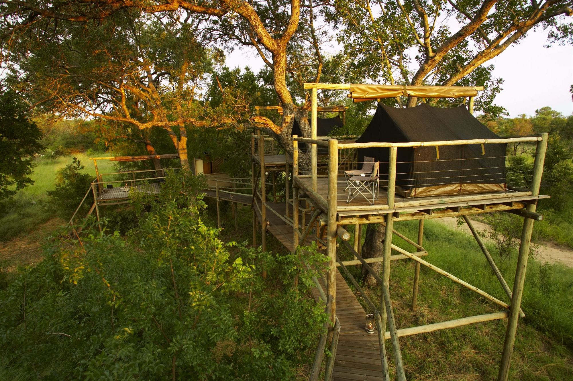 Фото Rhino Walking Safaris