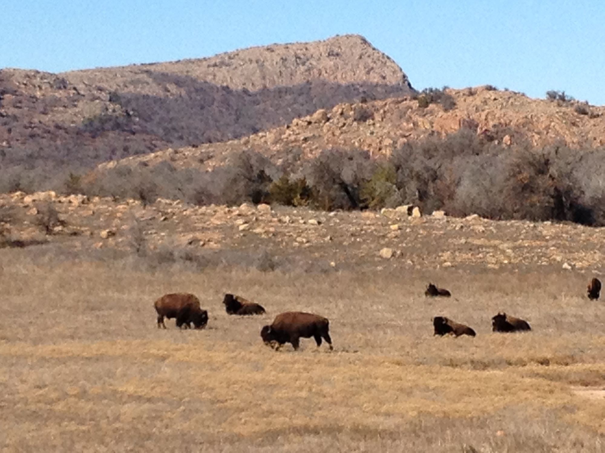 Фото Sleep Inn & Suites Lawton Near Fort Sill