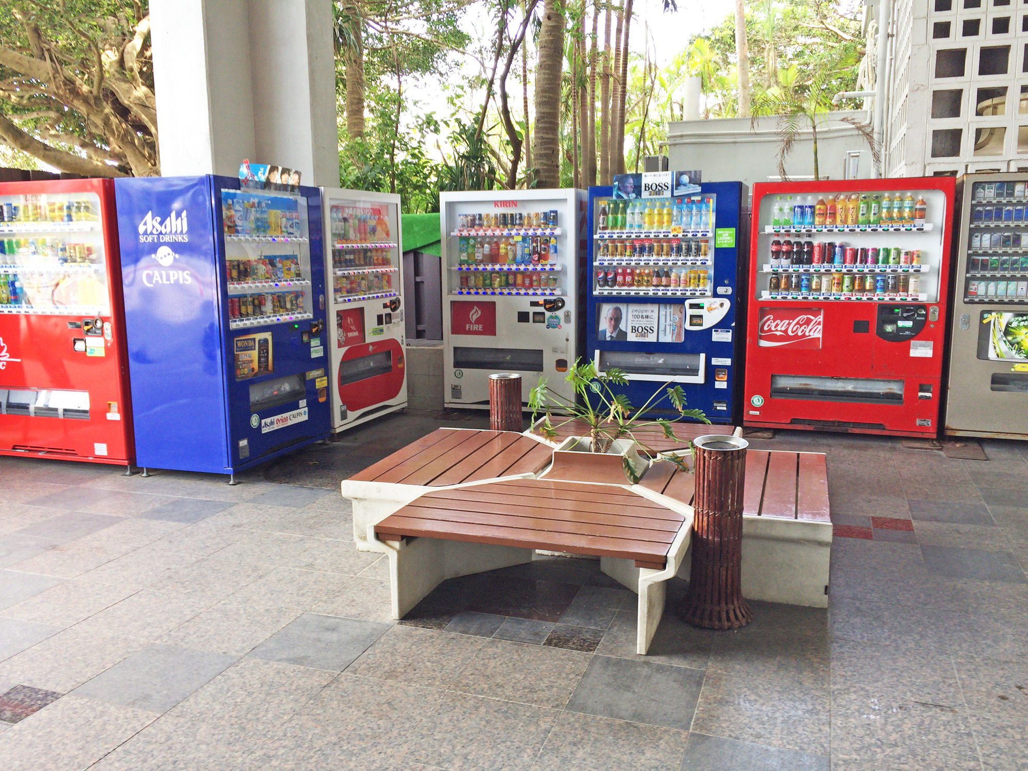 Фото The Moon Beach Museum Resort