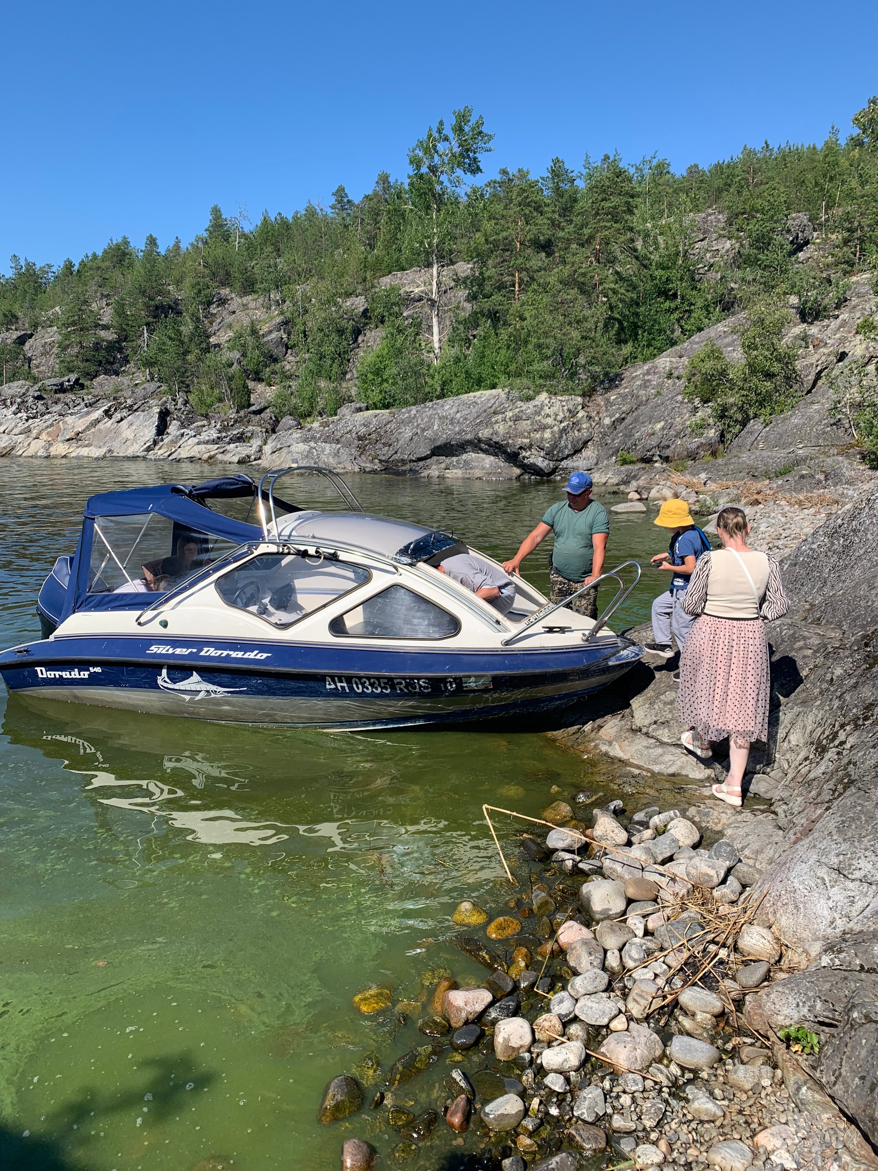 Фото Черника в Сонном заливе