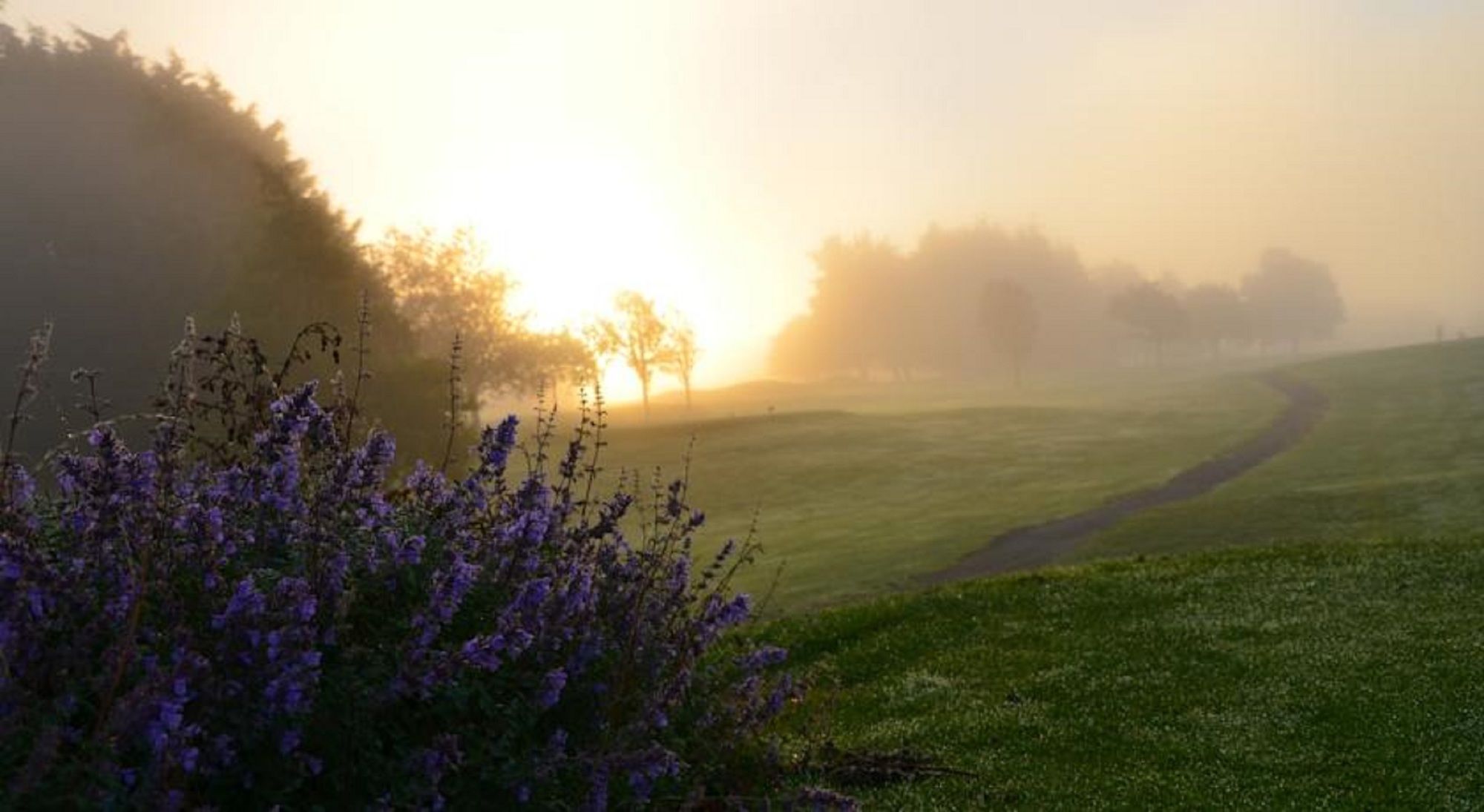 Фото Waterford Castle