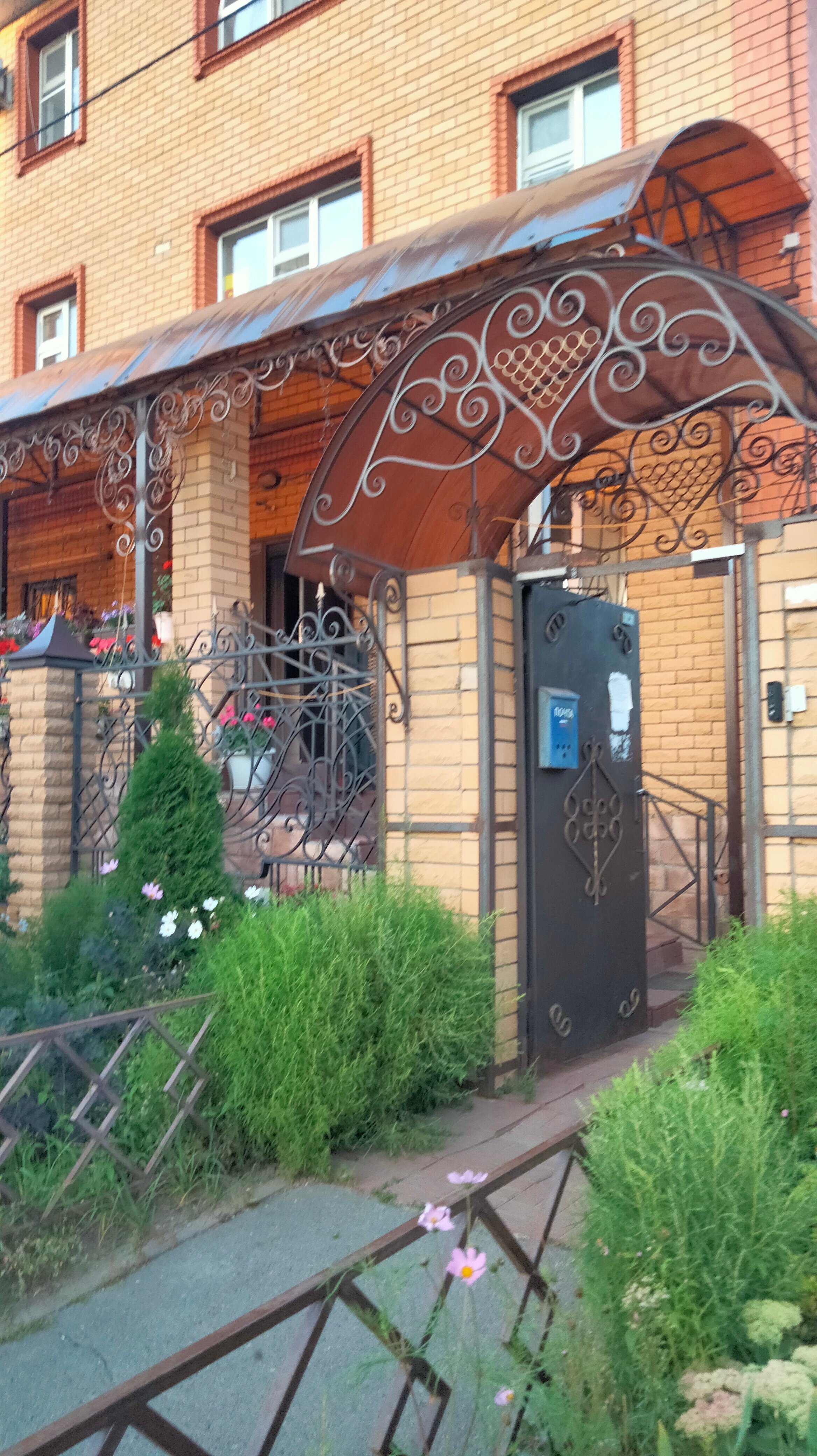 Фото Лечебная