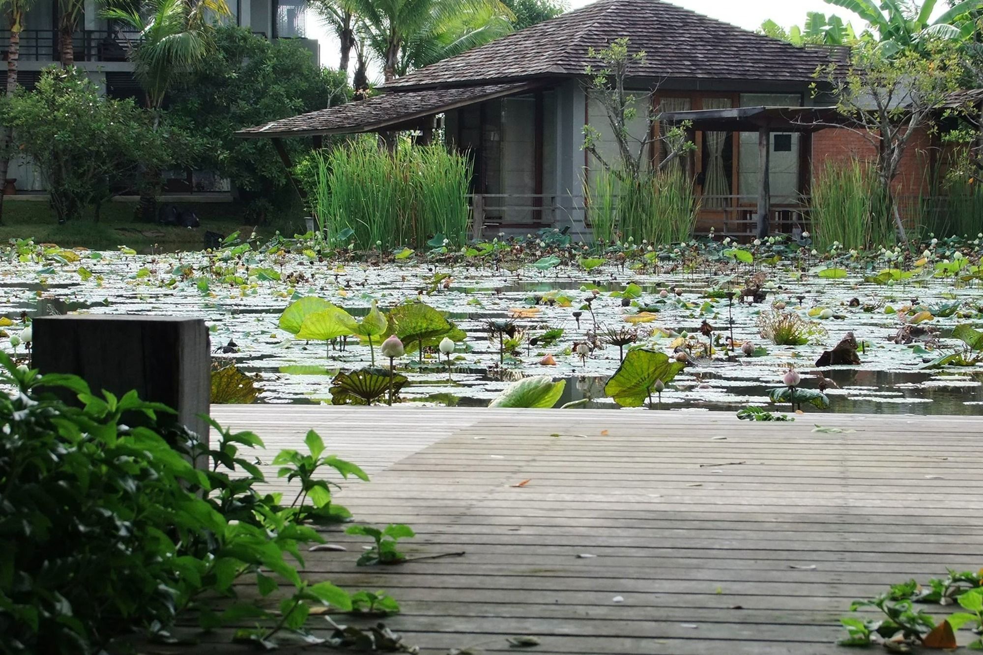 Фото Pattara Resort & SPA