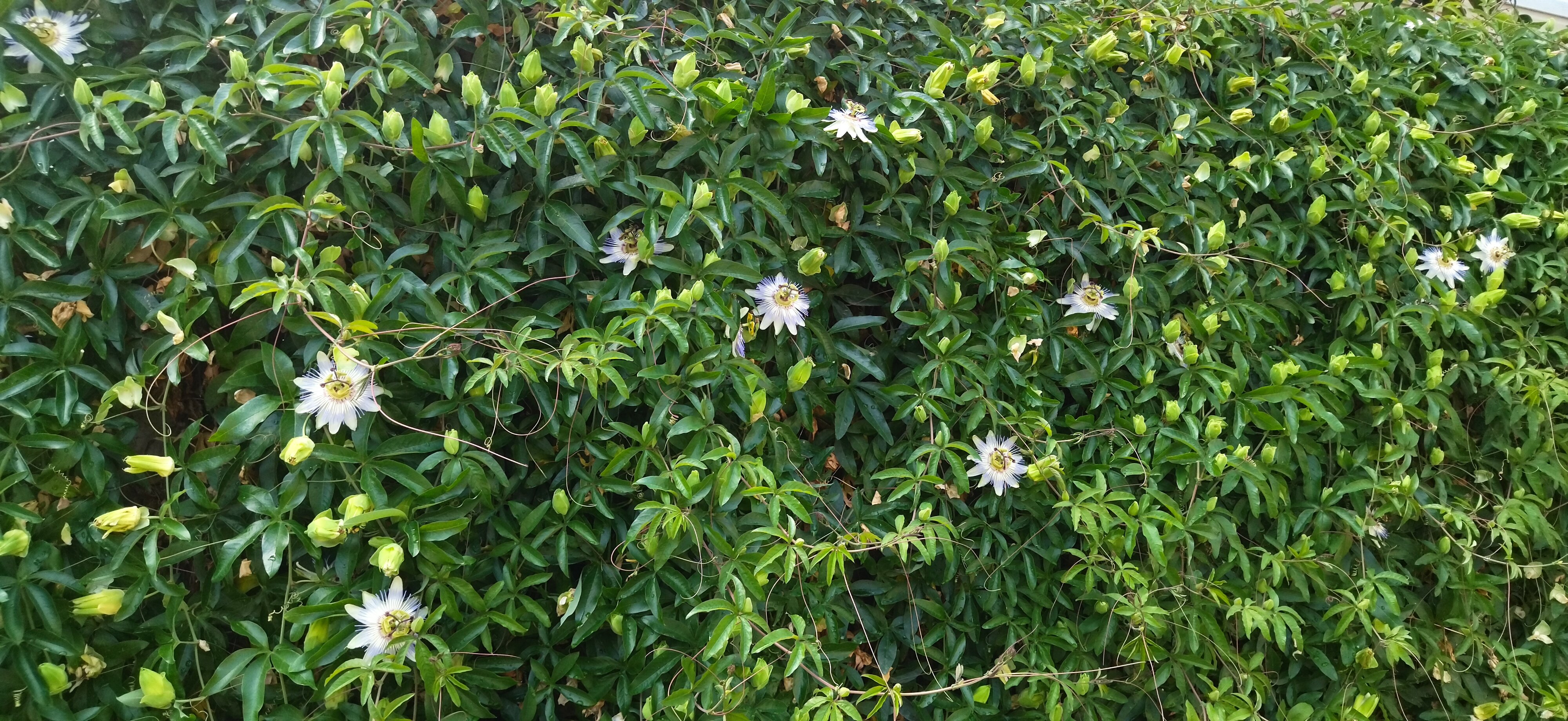 Фото Желанный гость