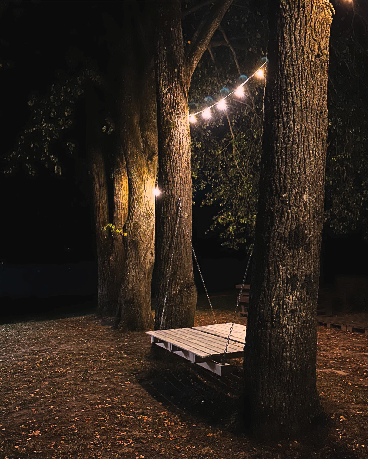 Фото Романовъ home