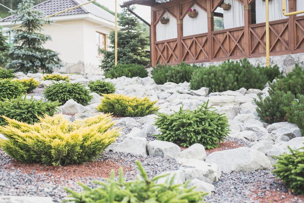 Фото Вишневая гора