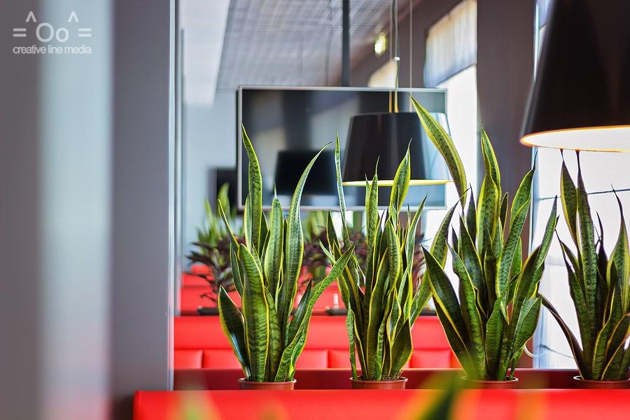 Фото Эра СПА