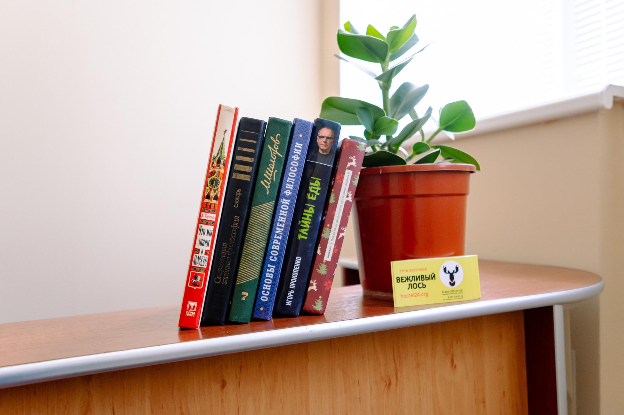 Фото Вежливый лось на Дмитровской