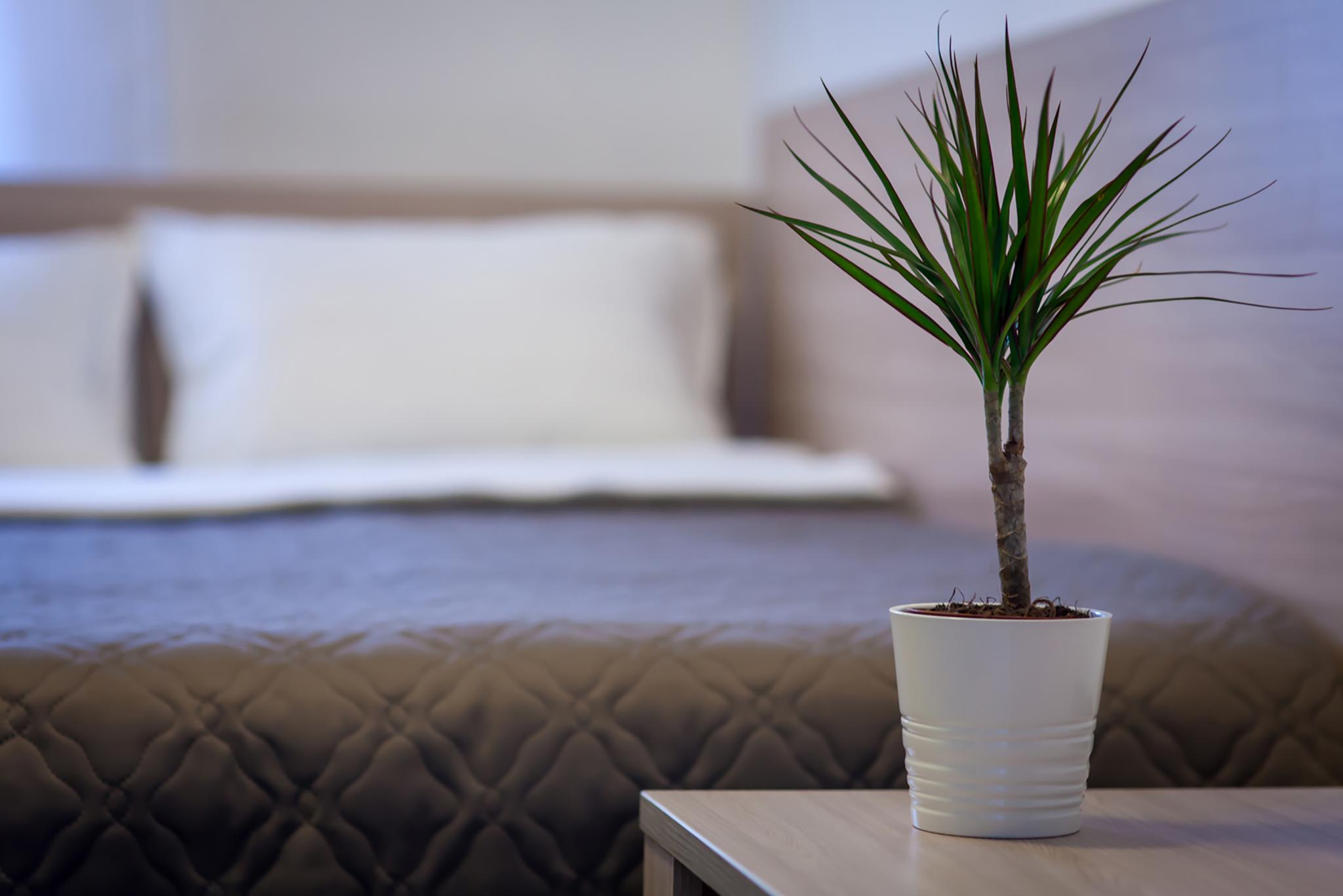 Фото Арбат Инн