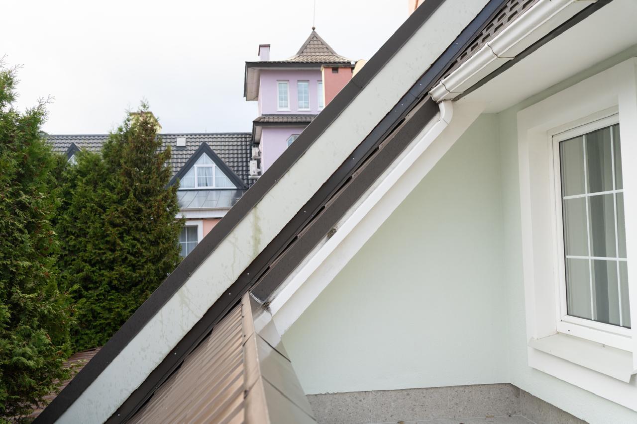 Фото Белый лотос