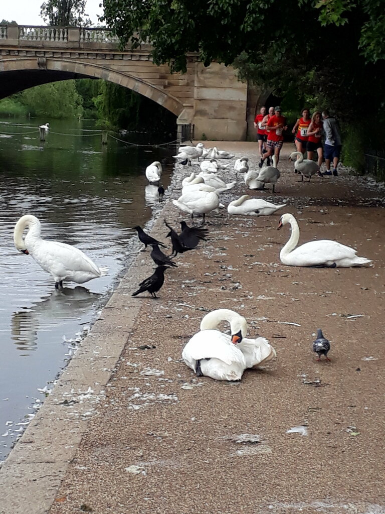 Park Kensington Gardens, London, photo