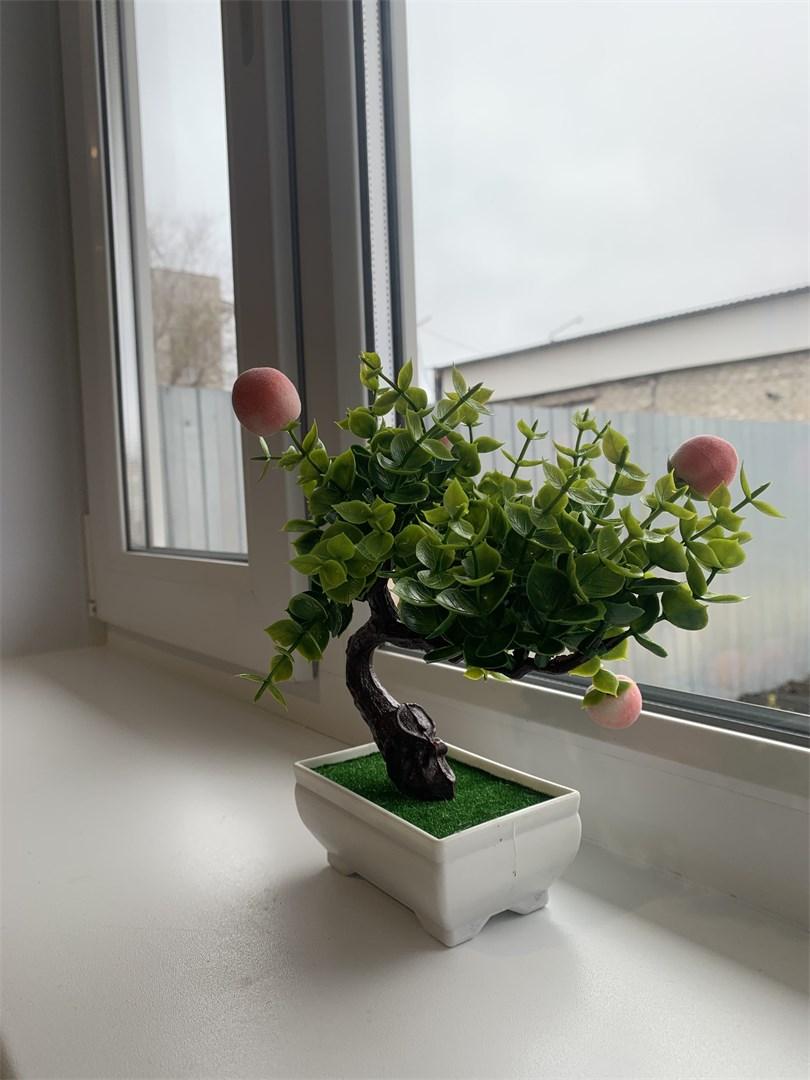 Фото Пол&Пути